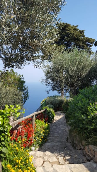 Camino en Capri