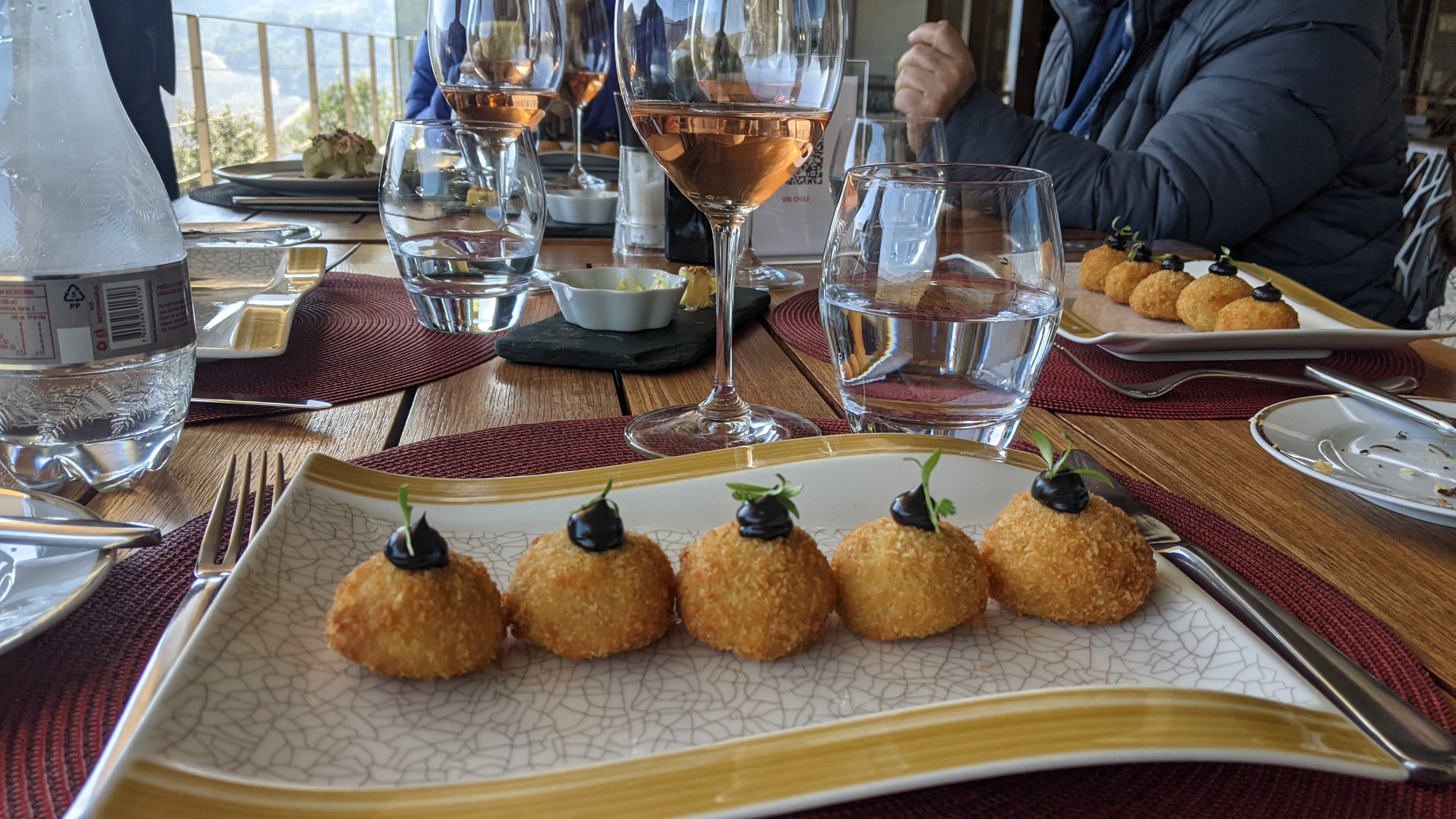 Almuerzo en Viña VIK