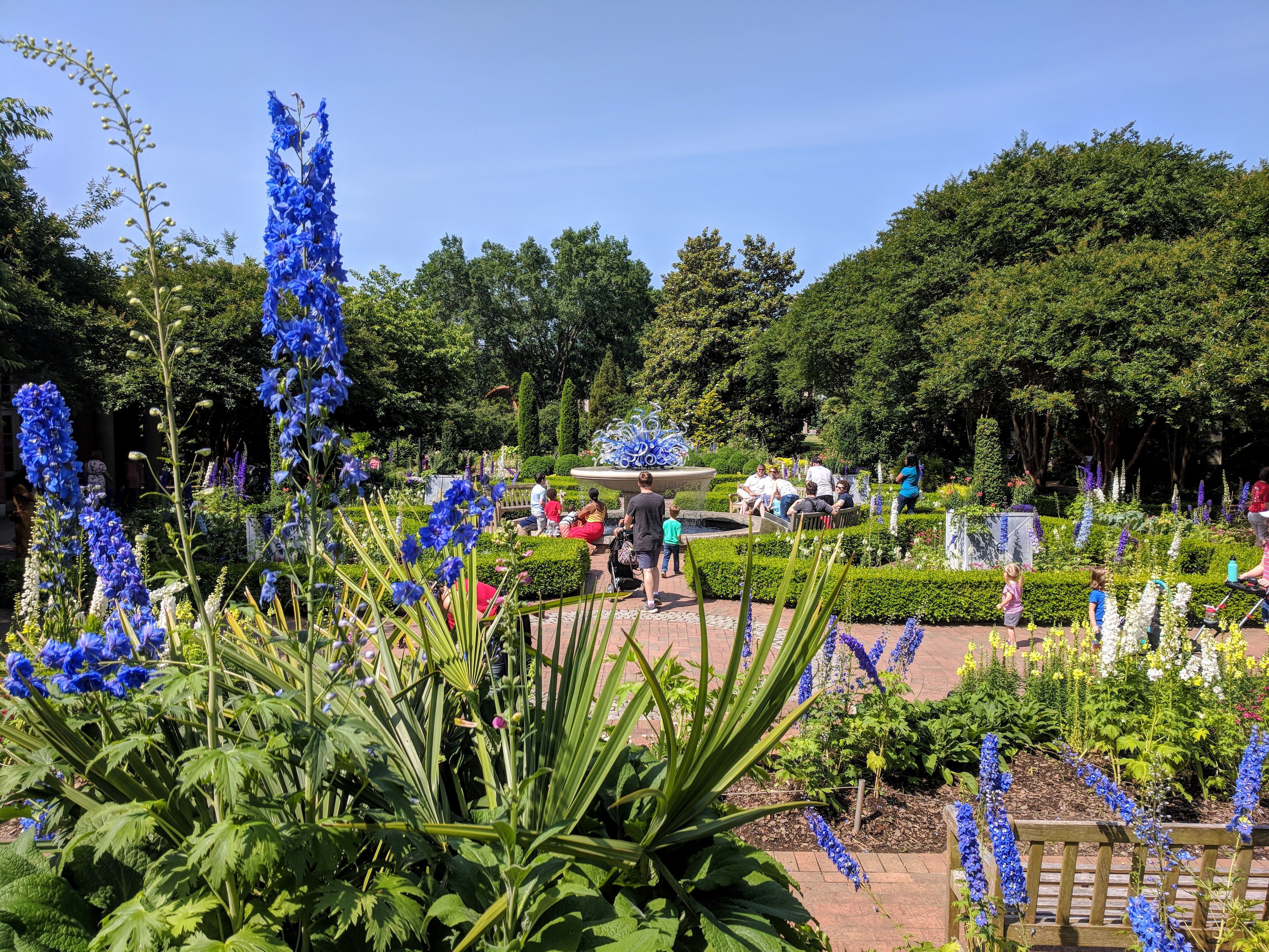 Atlanta Botanical Garden