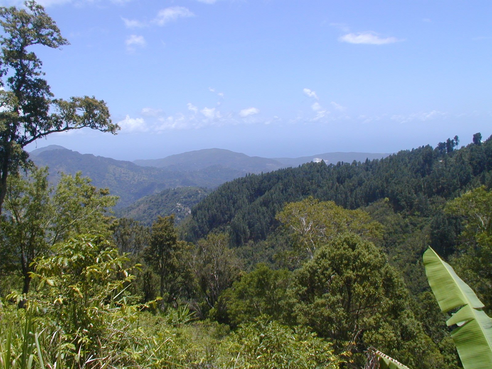 Blue Mountain en Jamaica, una de las montañas más altas del Caribe