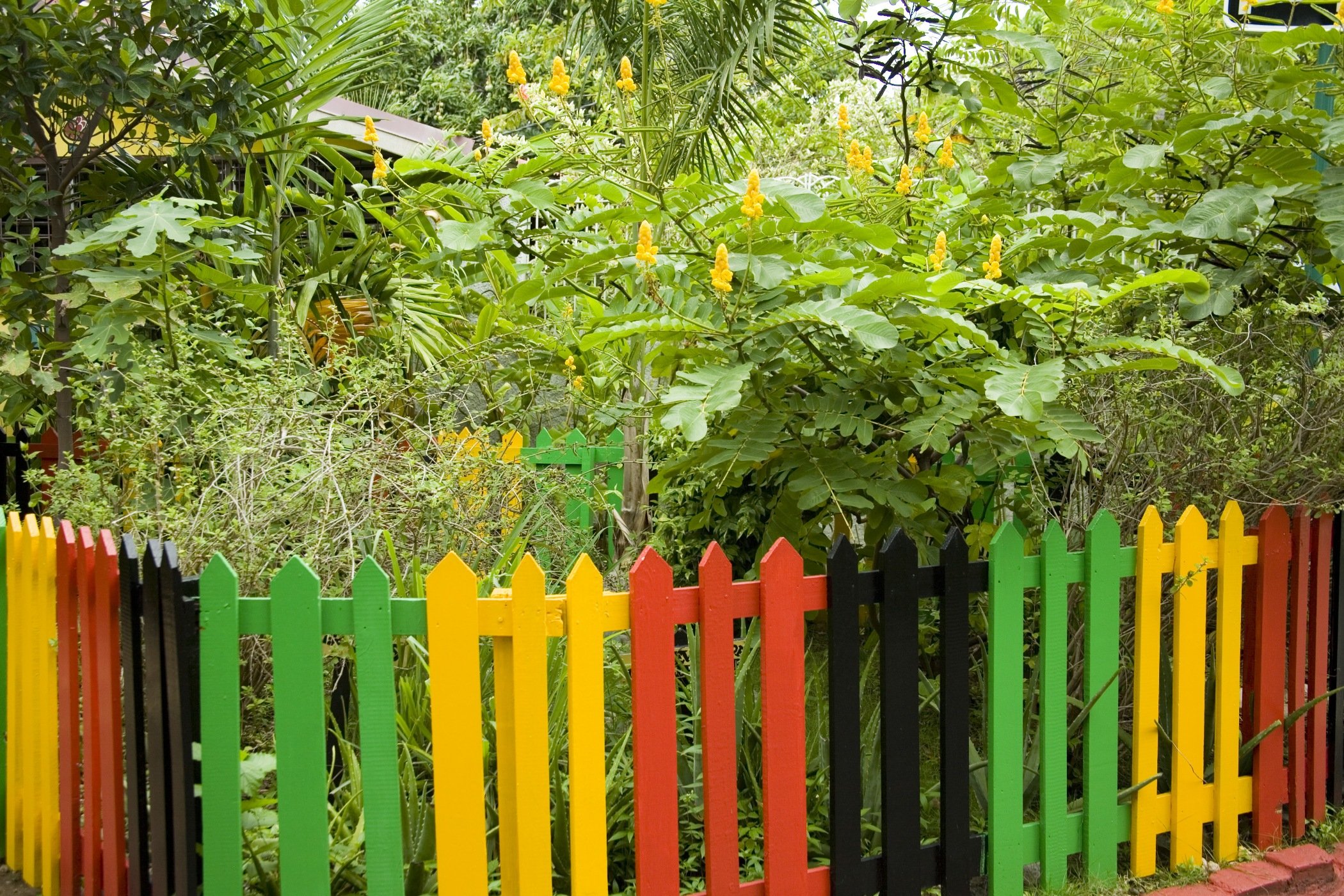 Bob Marley Museum en Jamaica