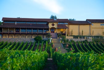 Escapada de fin de semana a Santa Cruz en Colchagua