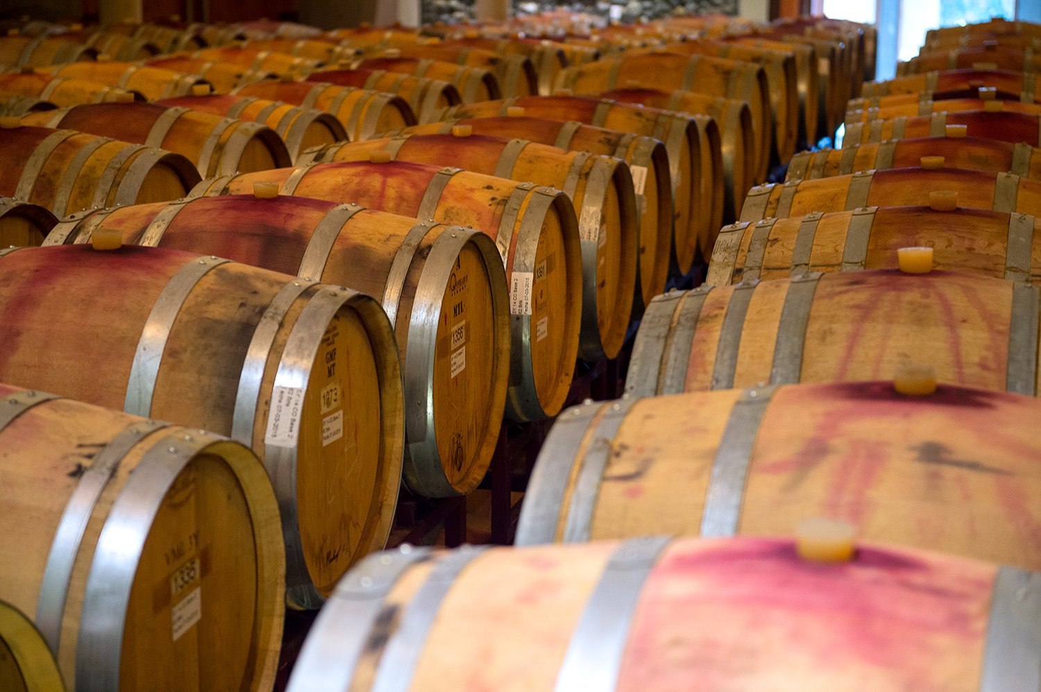 Barricas de vinos en la bodega de Viña Matetic