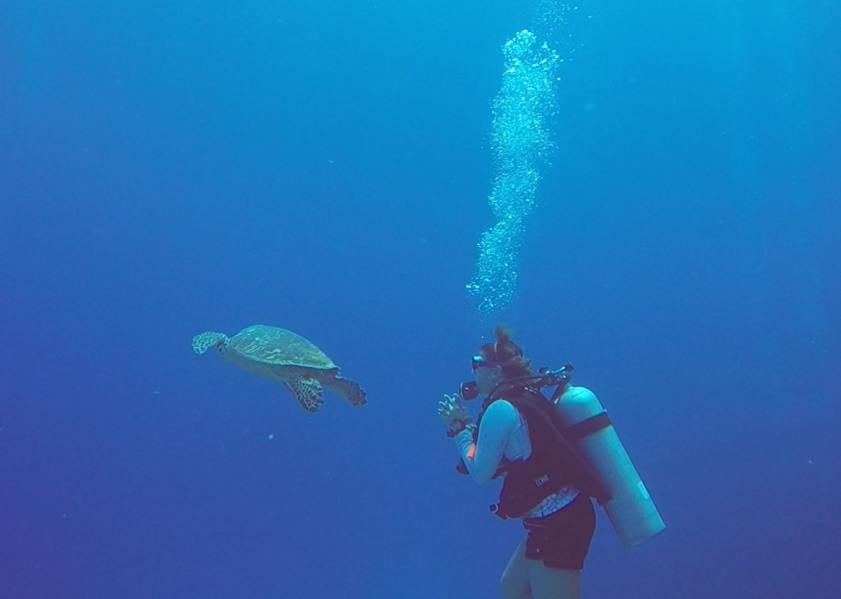 Mujer buceando con tortuga en Islas Caimán