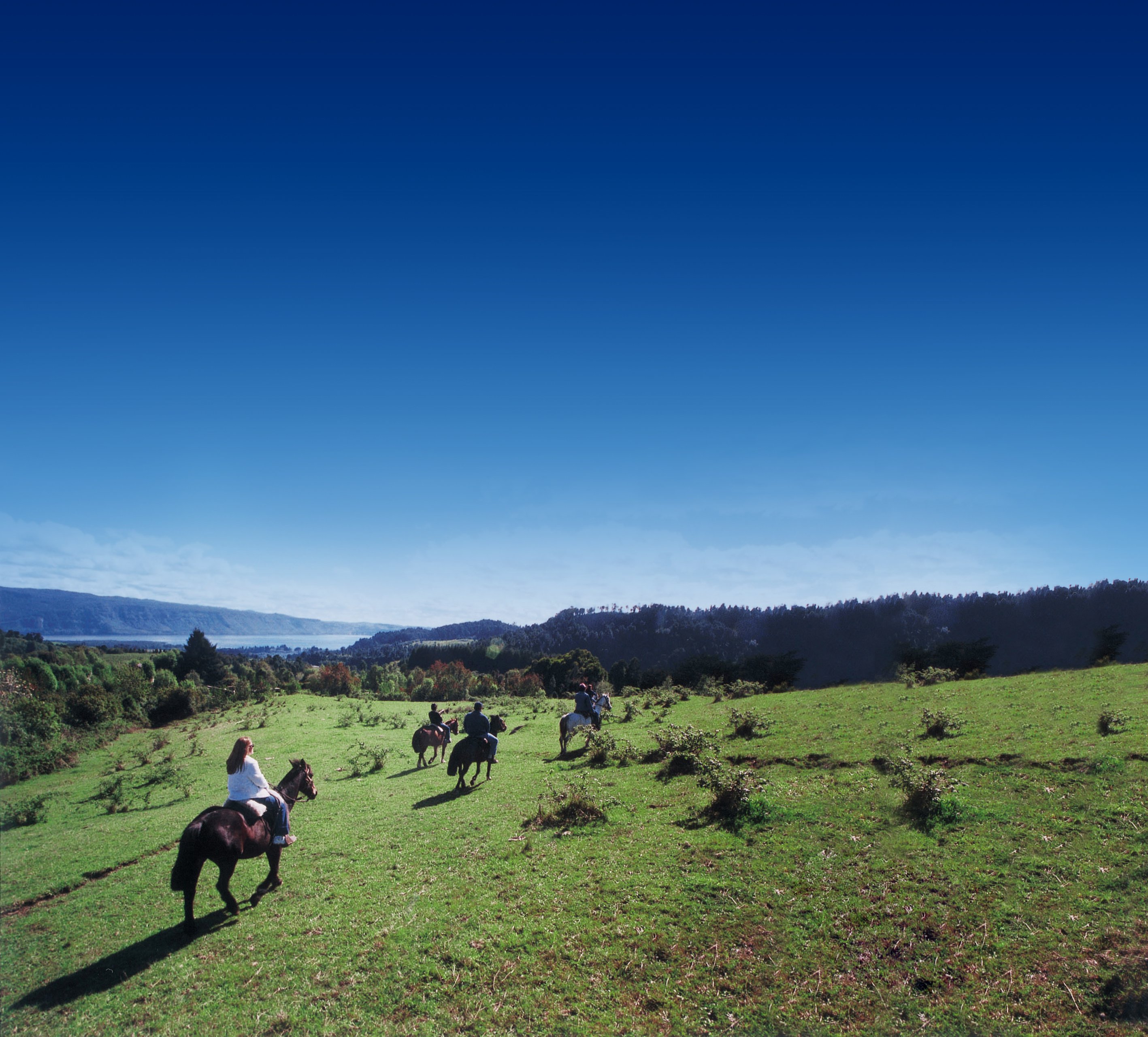 Cabalgata en Termas de Puyehue