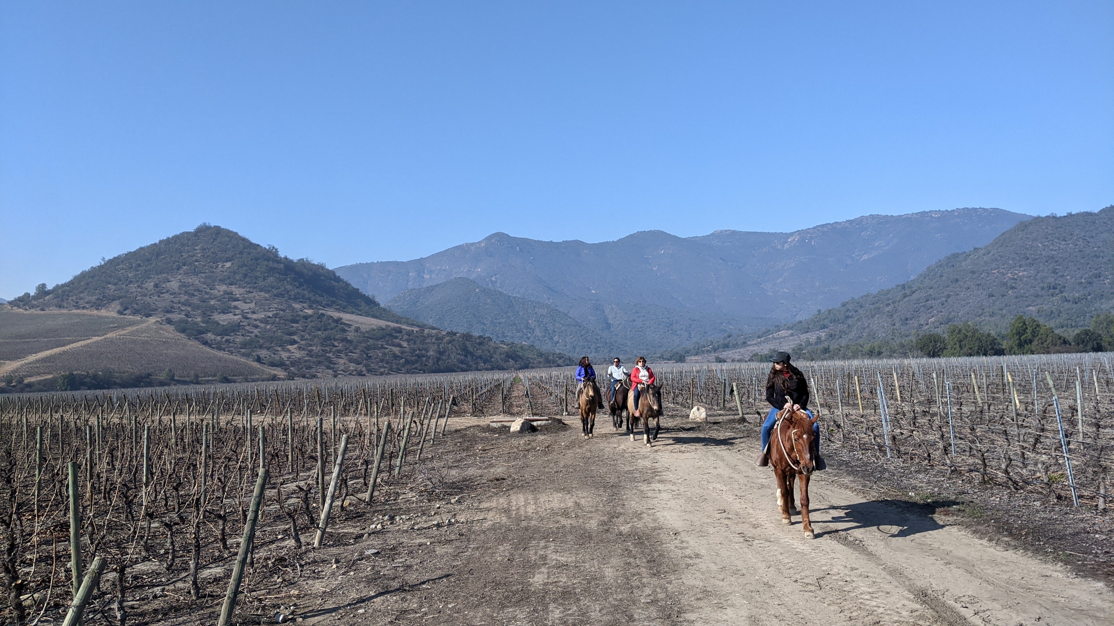 Cabalgata por viñedos de Viña VIK