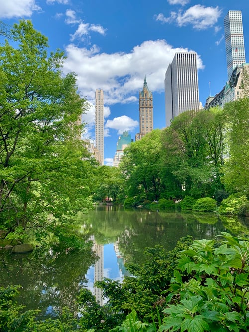 Central Park, en cosas que hacer en Nueva York