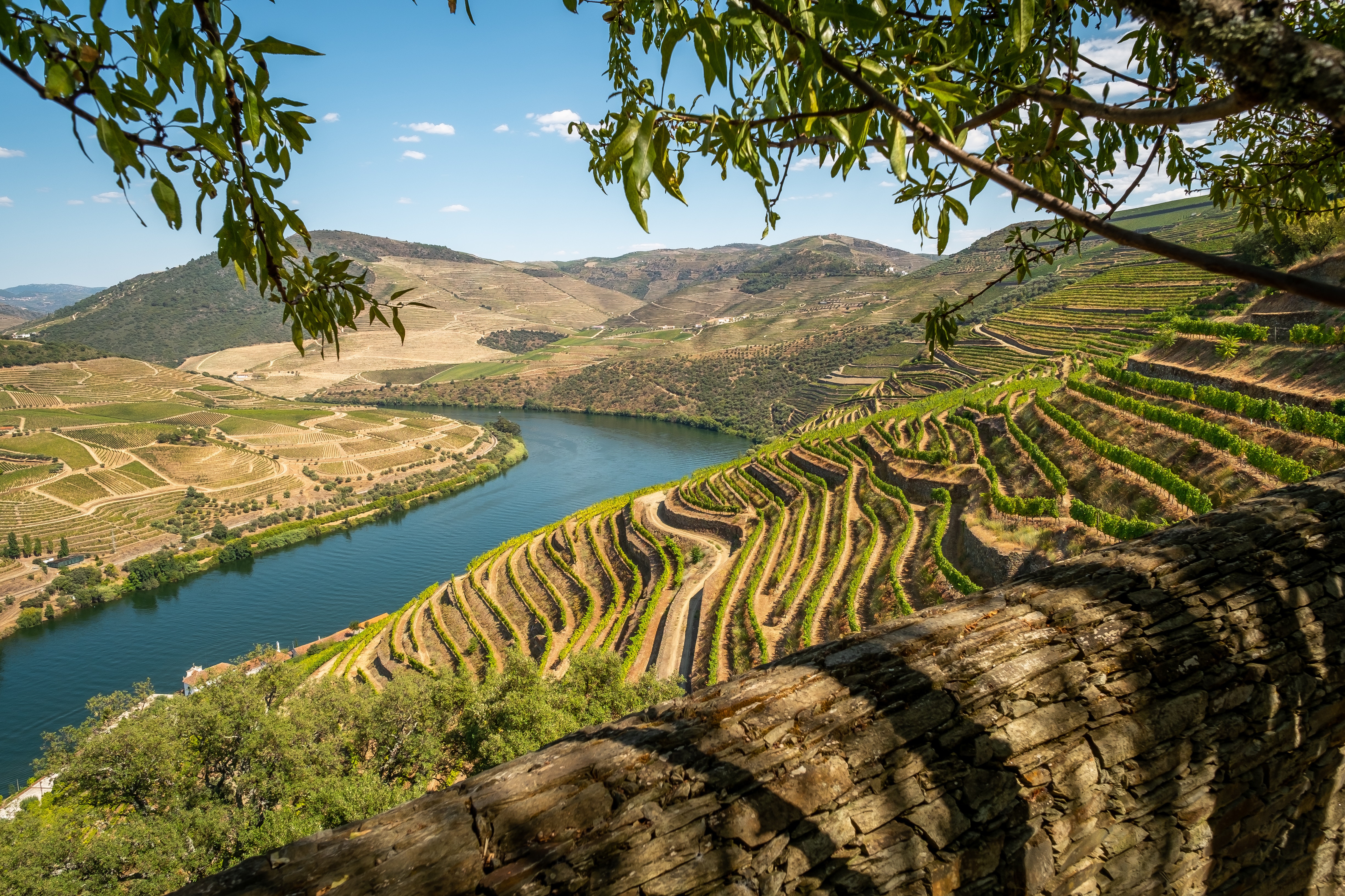 Crucero por el río Duero en España