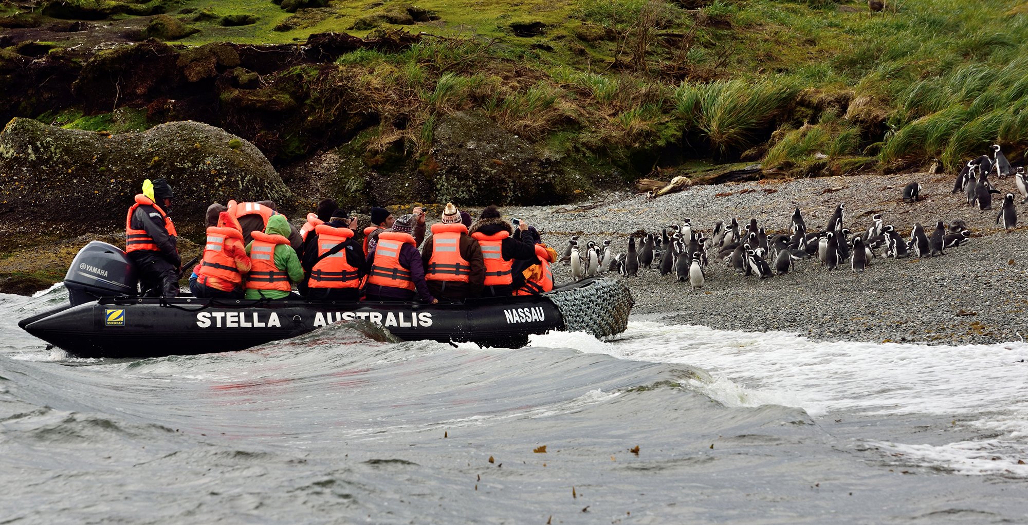 Zodiac y grupo de viajeros en Islotes Tucker observando pingüinos de Magallanes en Patagonia