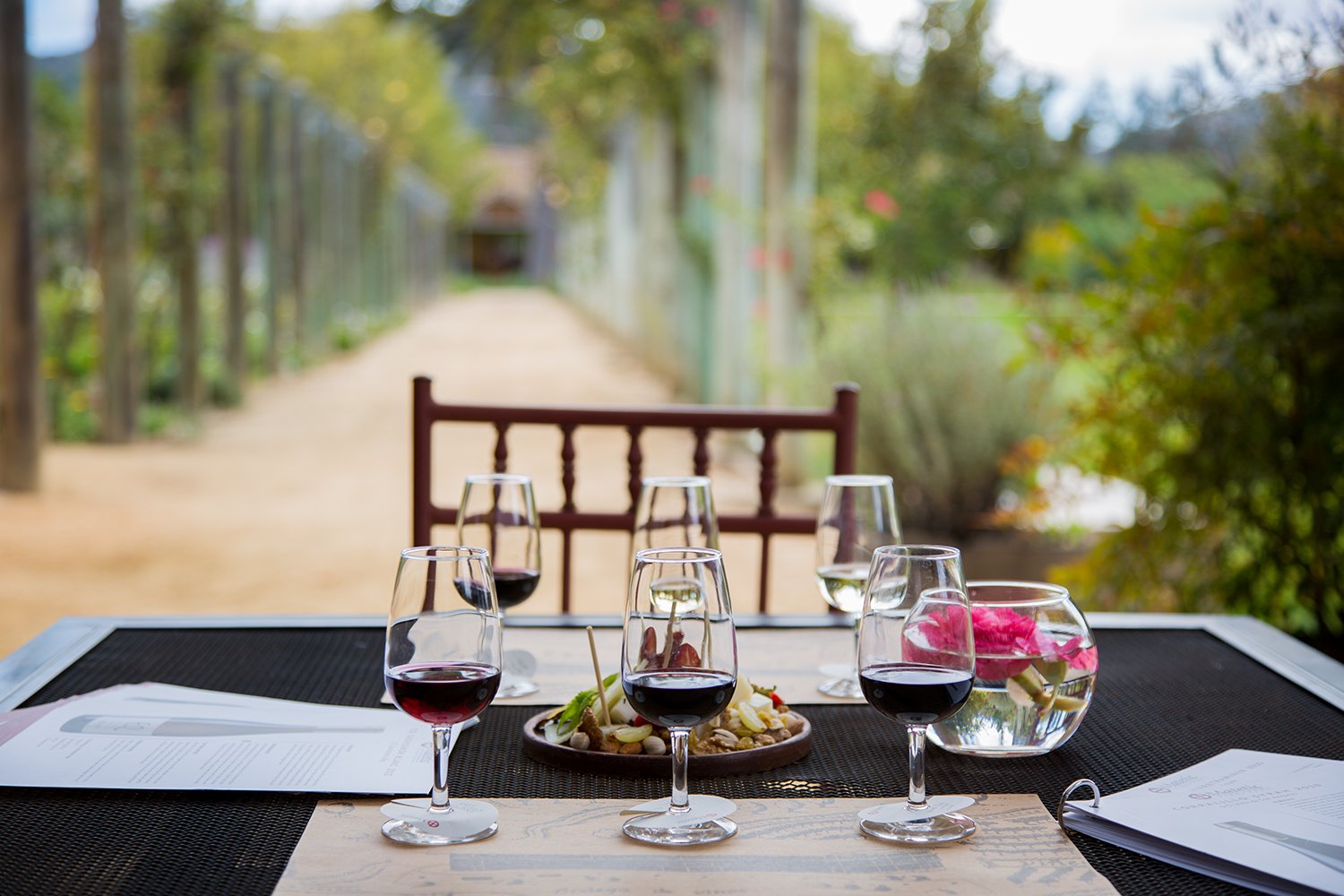Mesa con degustación de seis vinos en Viña Matetic