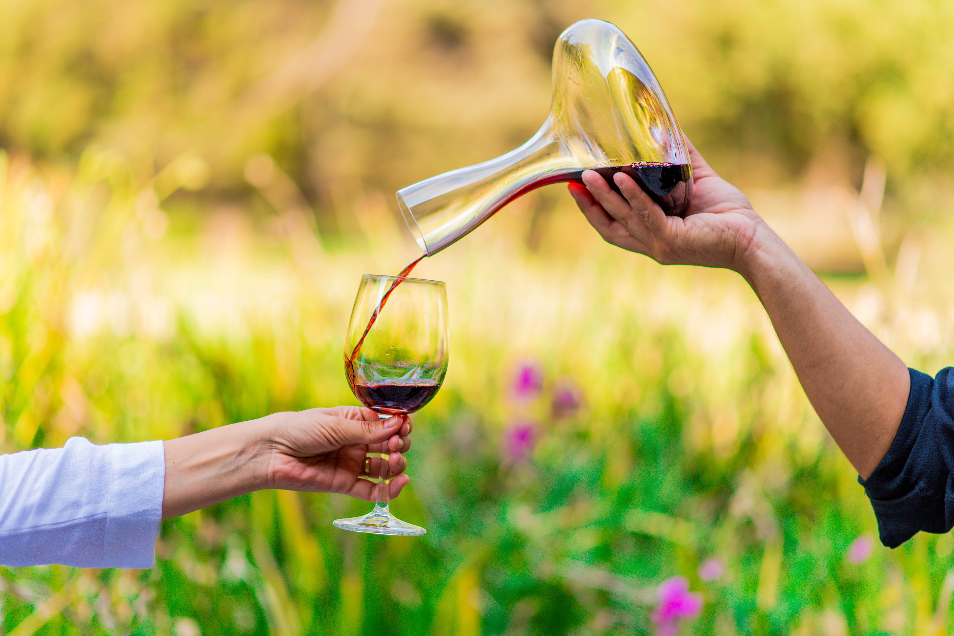 Degustación de vinos en Las Majadas de Pirque