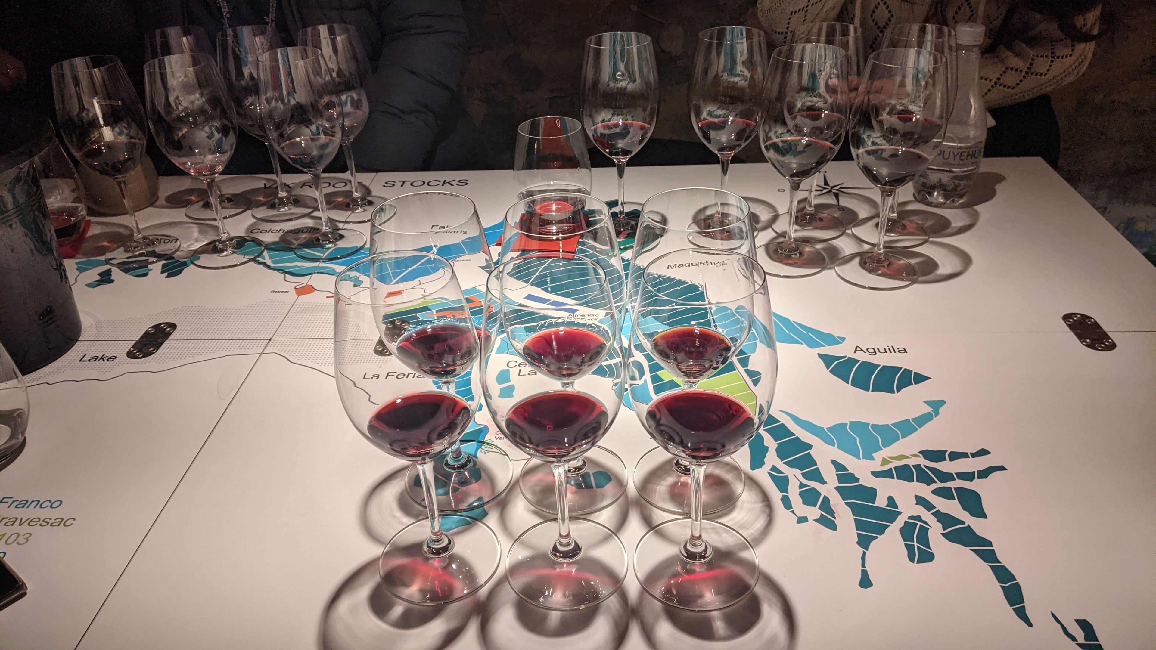 Degustación y cata de vinos en Viña VIK