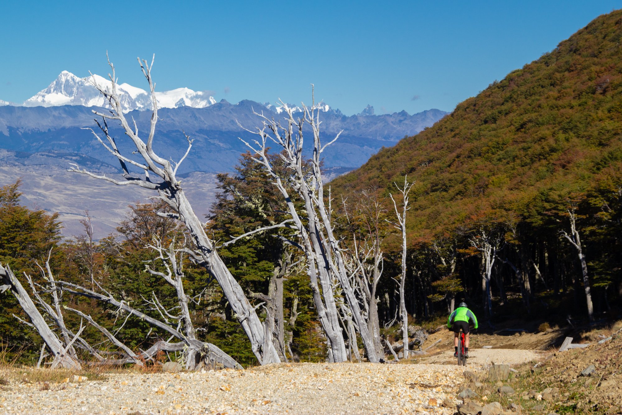 Excursión en bicicleta desde el Hotel Explora en el Parque Nacional Patagonia