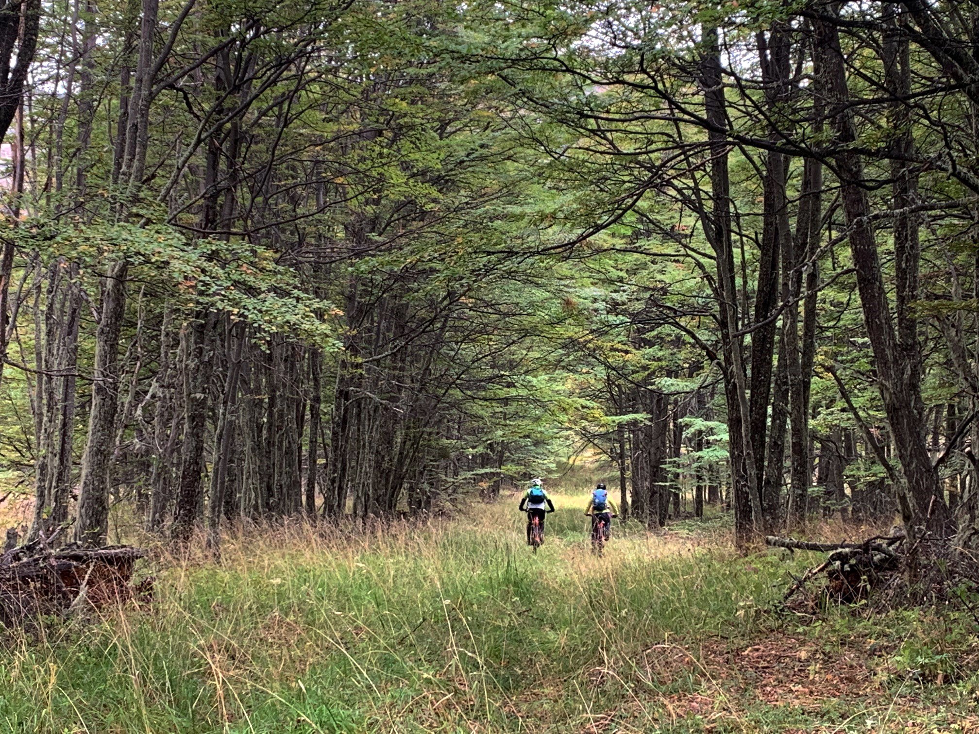 Excursión en bicicleta por La Tejuela desde el Hotel Explora en el Parque Nacional Patagonia