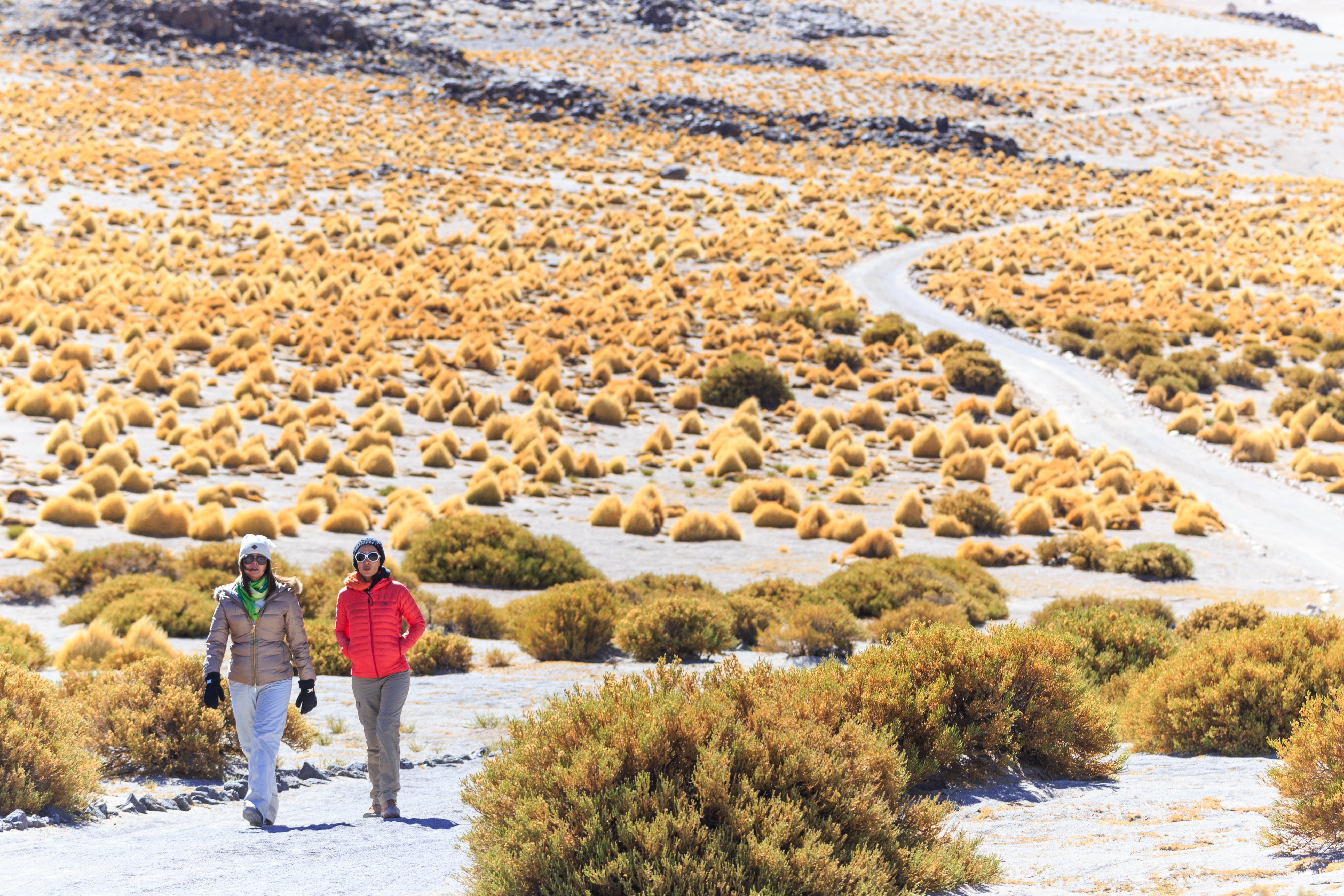 Excursiones en San Pedro de Atacama