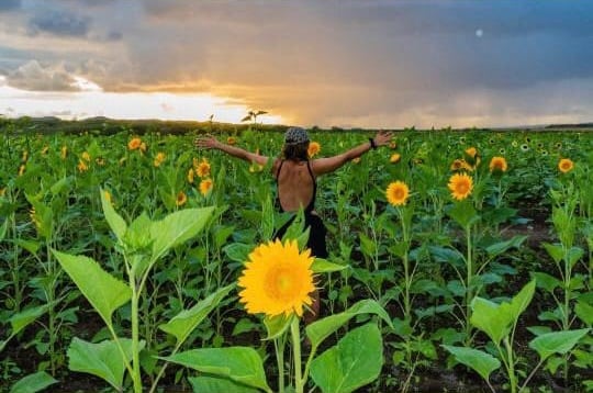 Mujer en campo Finca El Girasol en Puerto Rico-1