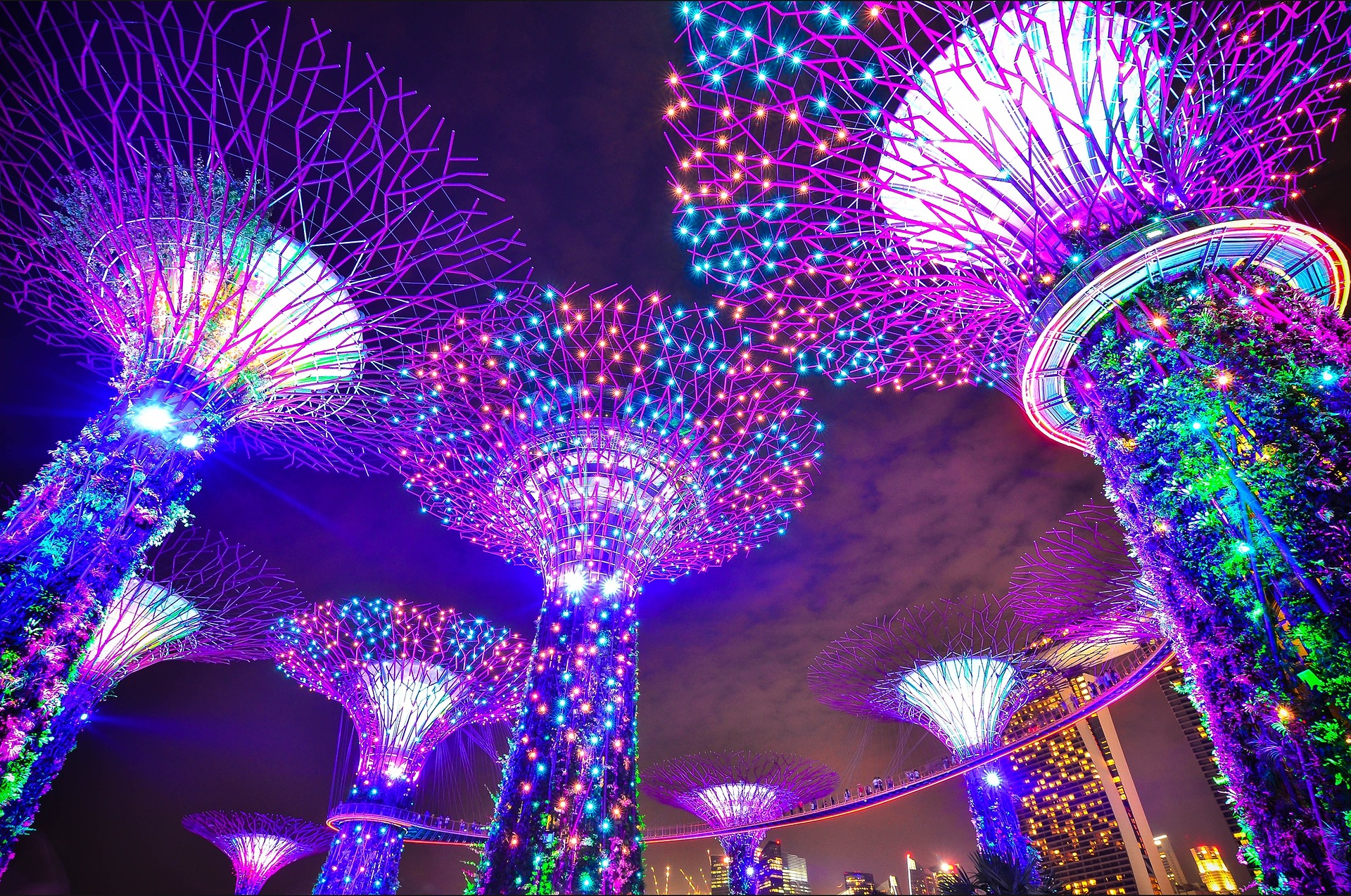 Gardens by the Bay de noche en Singapur