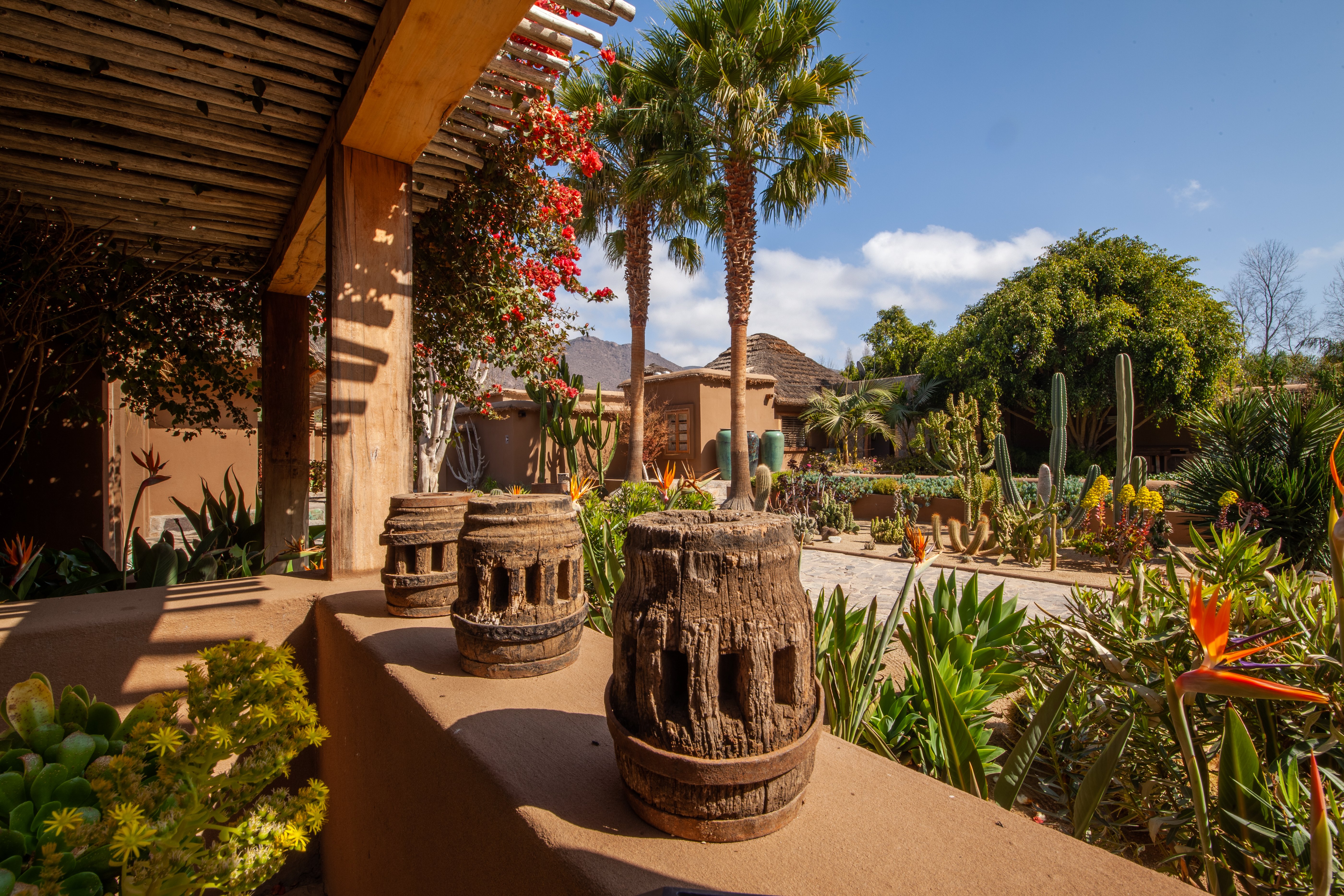 Jardines de Casa Molle