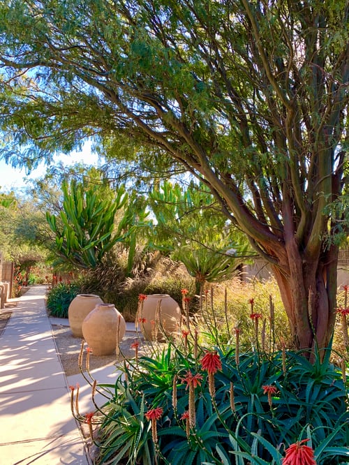 Jardines interiores del Hotel Wara en el desierto de Atacama