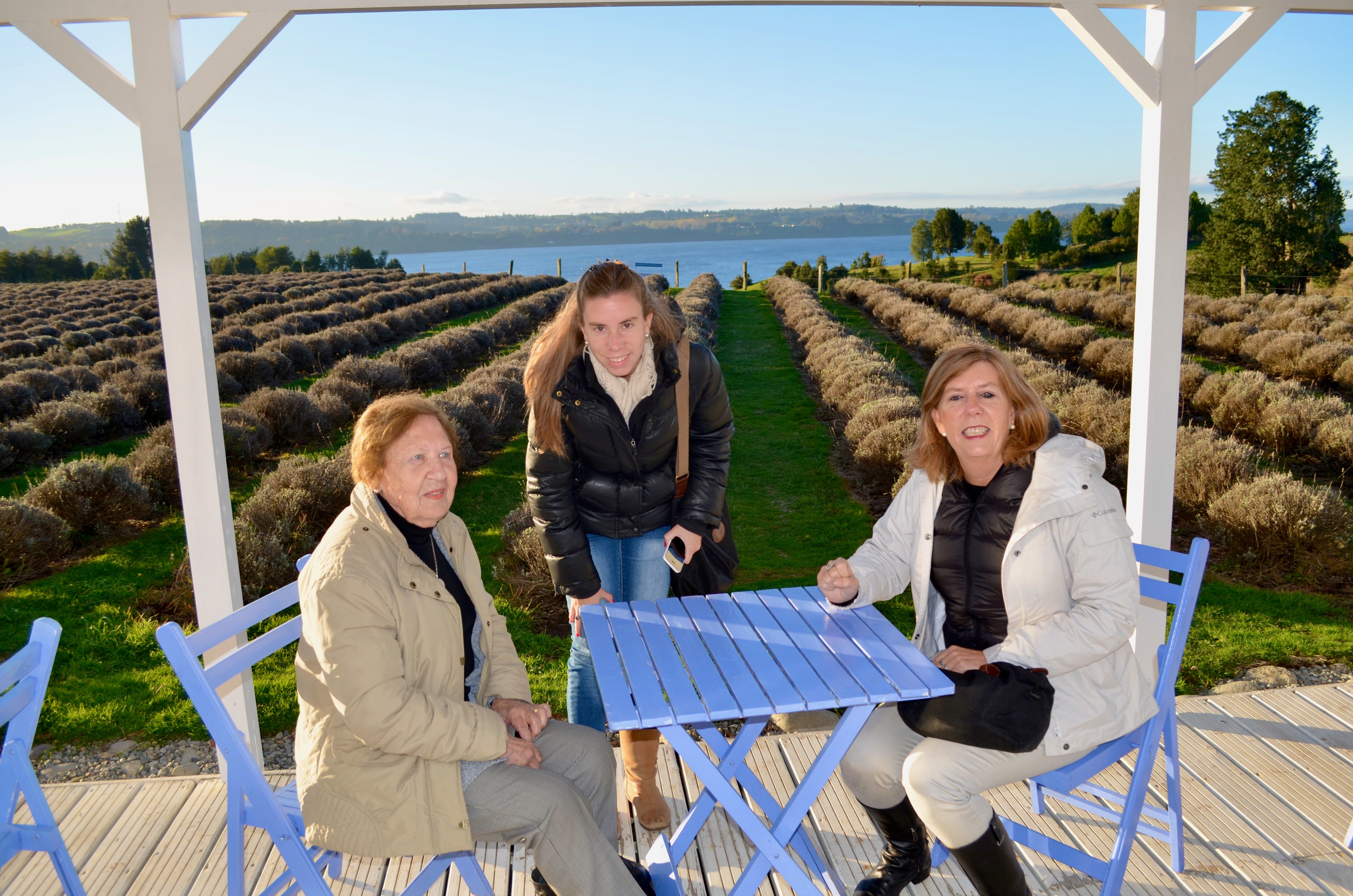 Lavanda Casa de Té en Frutillar, en cosas que hacer en Puerto Varas