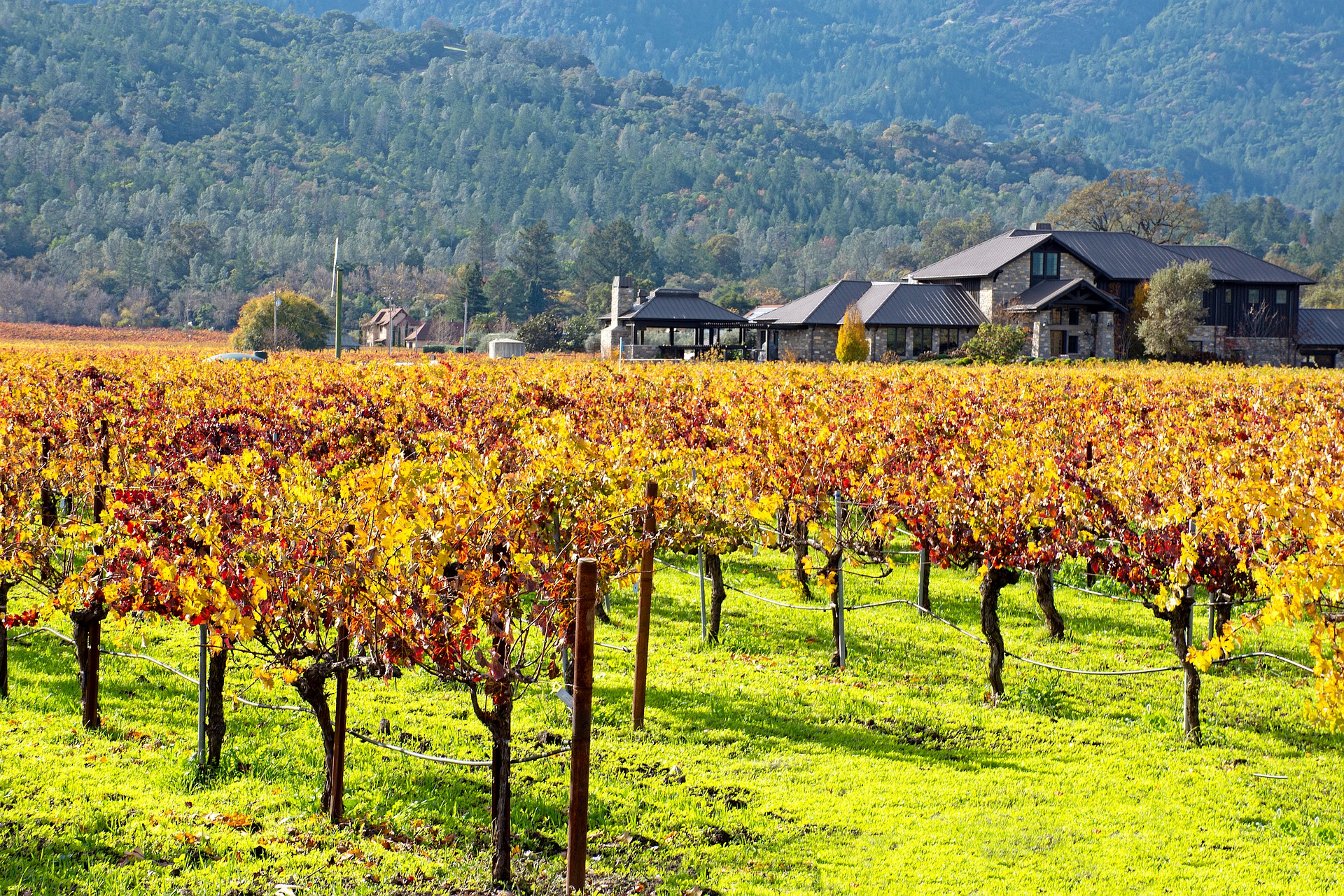 Napa Valley en un road trip por California