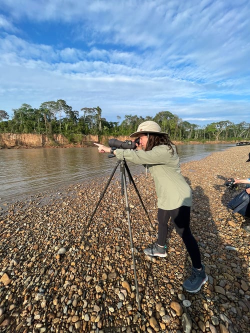Observación de guacamayos en la selva amazónica de Perú