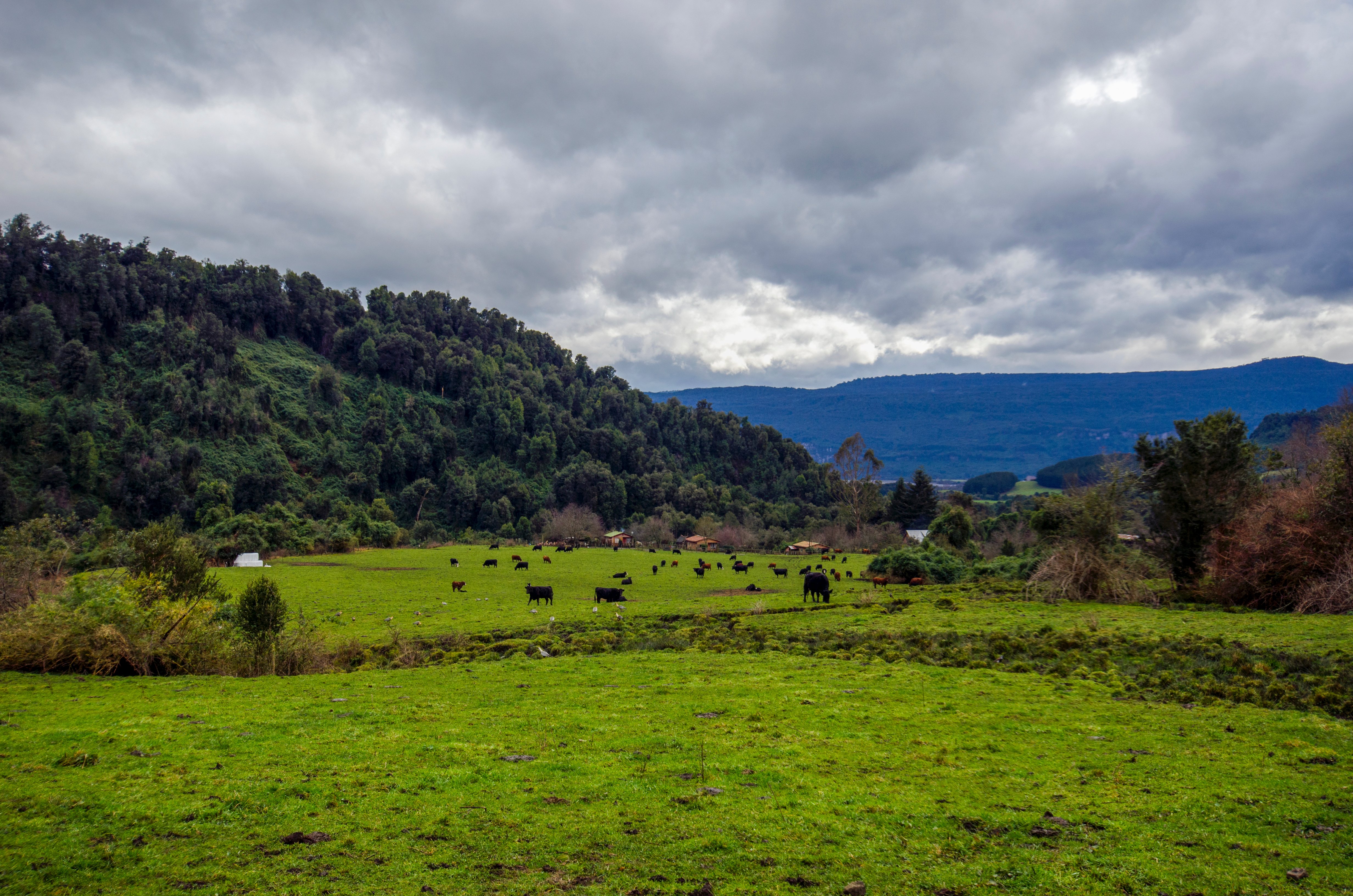 Paisaje en Termas de Puyehue