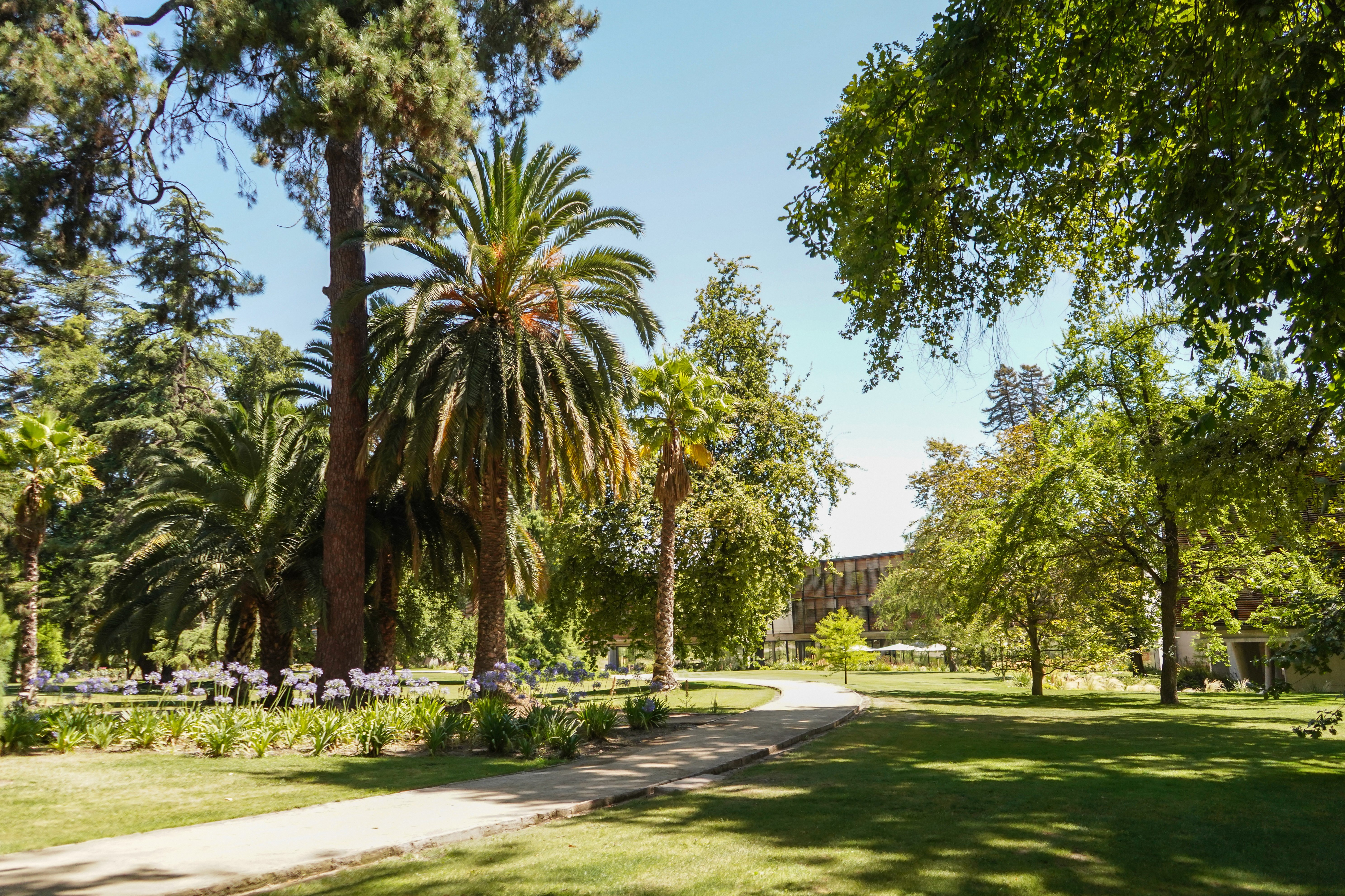Parque de Las Majadas de Pirque con el hotel de fondo