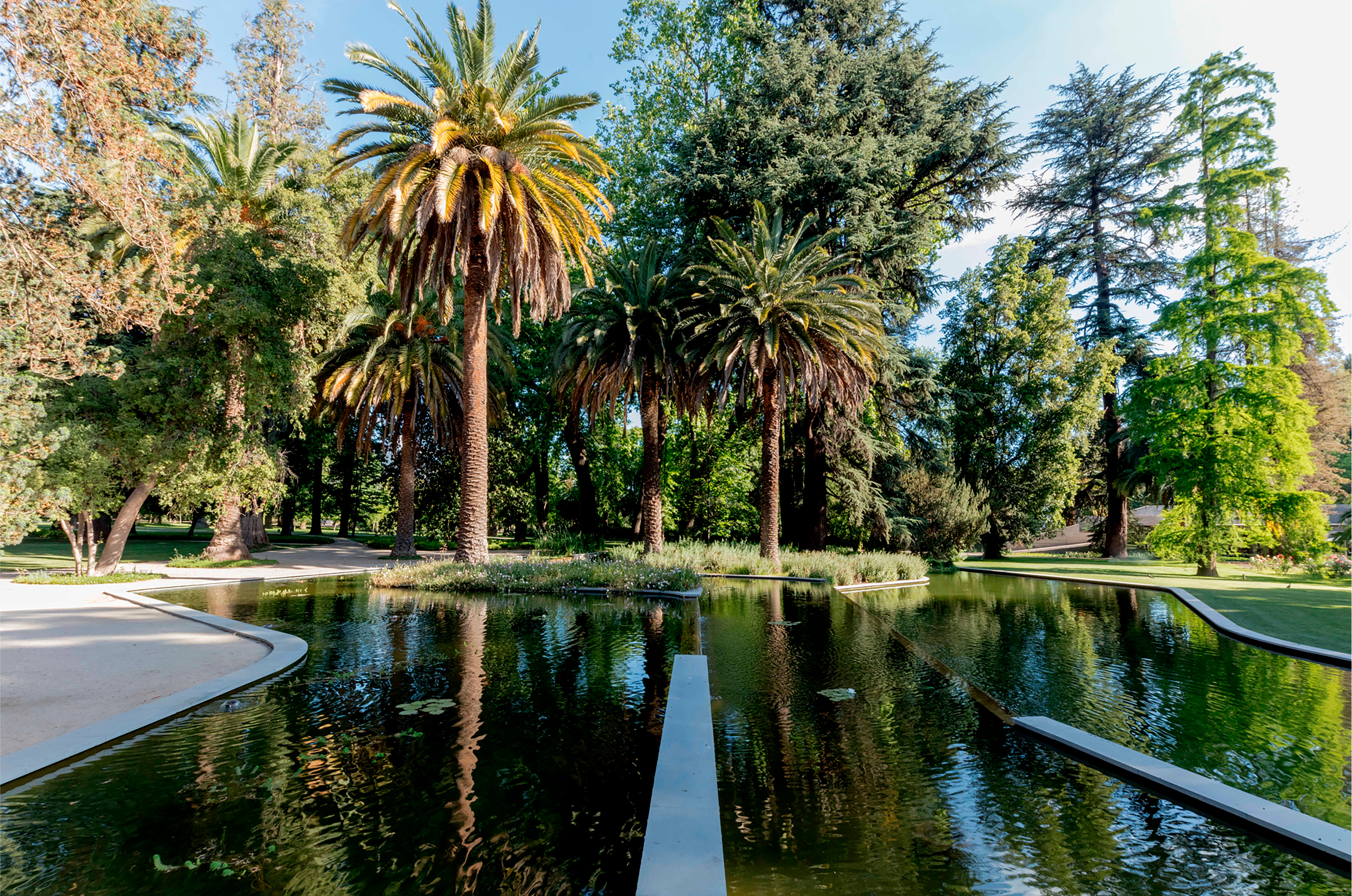 Palmeras y otras especies en el Parque de Las Majadas de Pirque