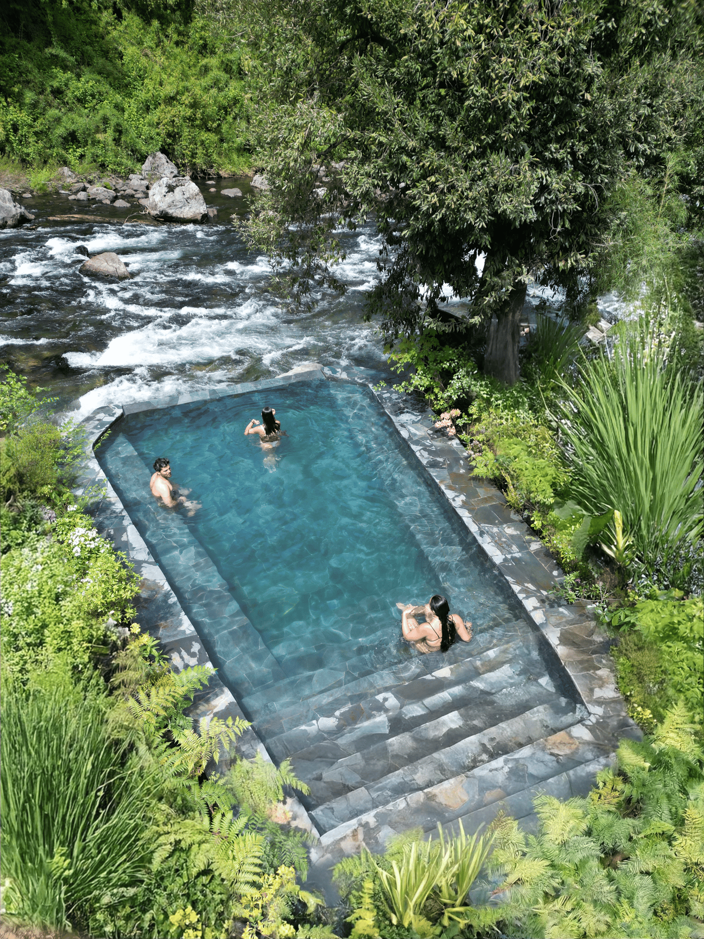 Un imperdible en Pucón: primer jardín botánico con termas en Chile