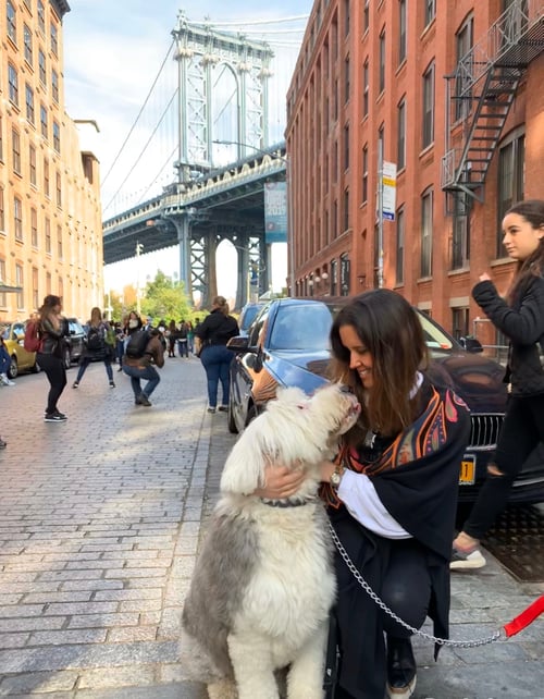 Paseando por Dumbo, en cosas que hacer en Nueva York