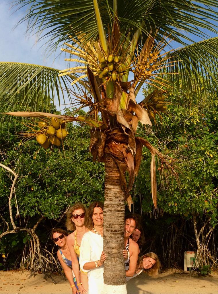 Amigas y palmera en playa en Colombia