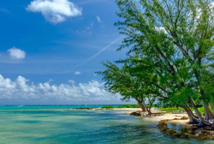 Playa con árboles en Islas Caimán