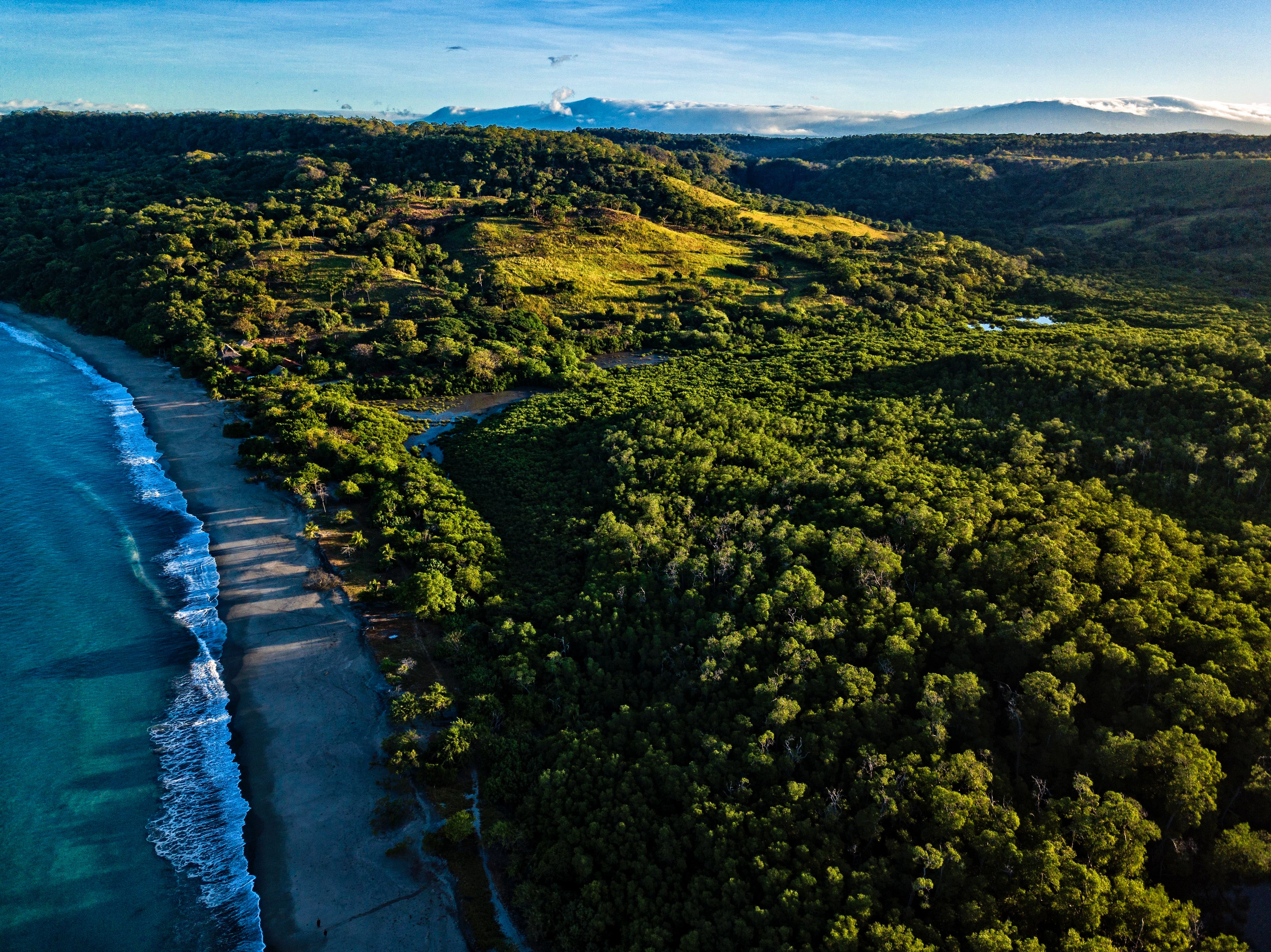 Playa y bosque en un viaje a Costa Rica