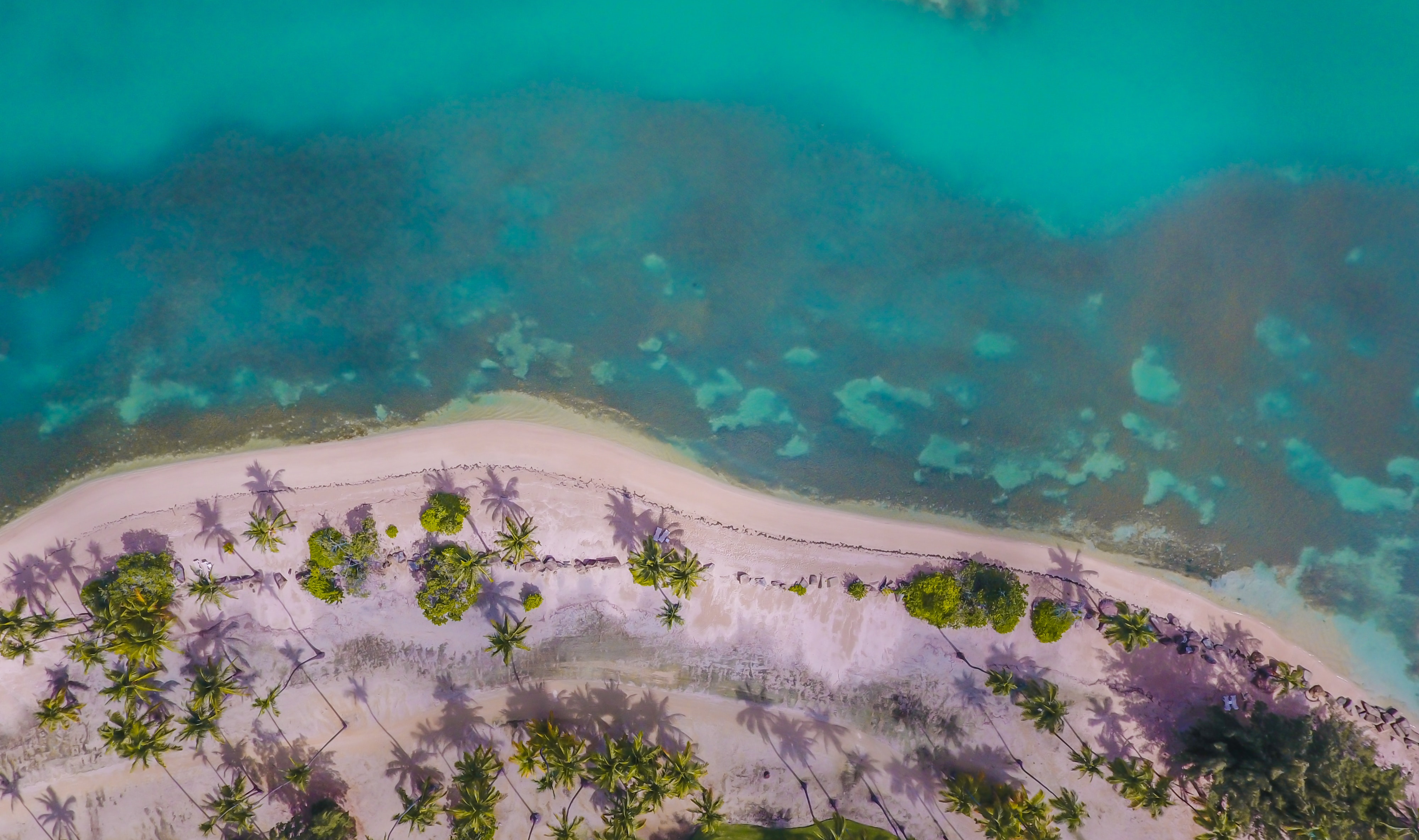 Vista aérea de una playa de Puerto Rico