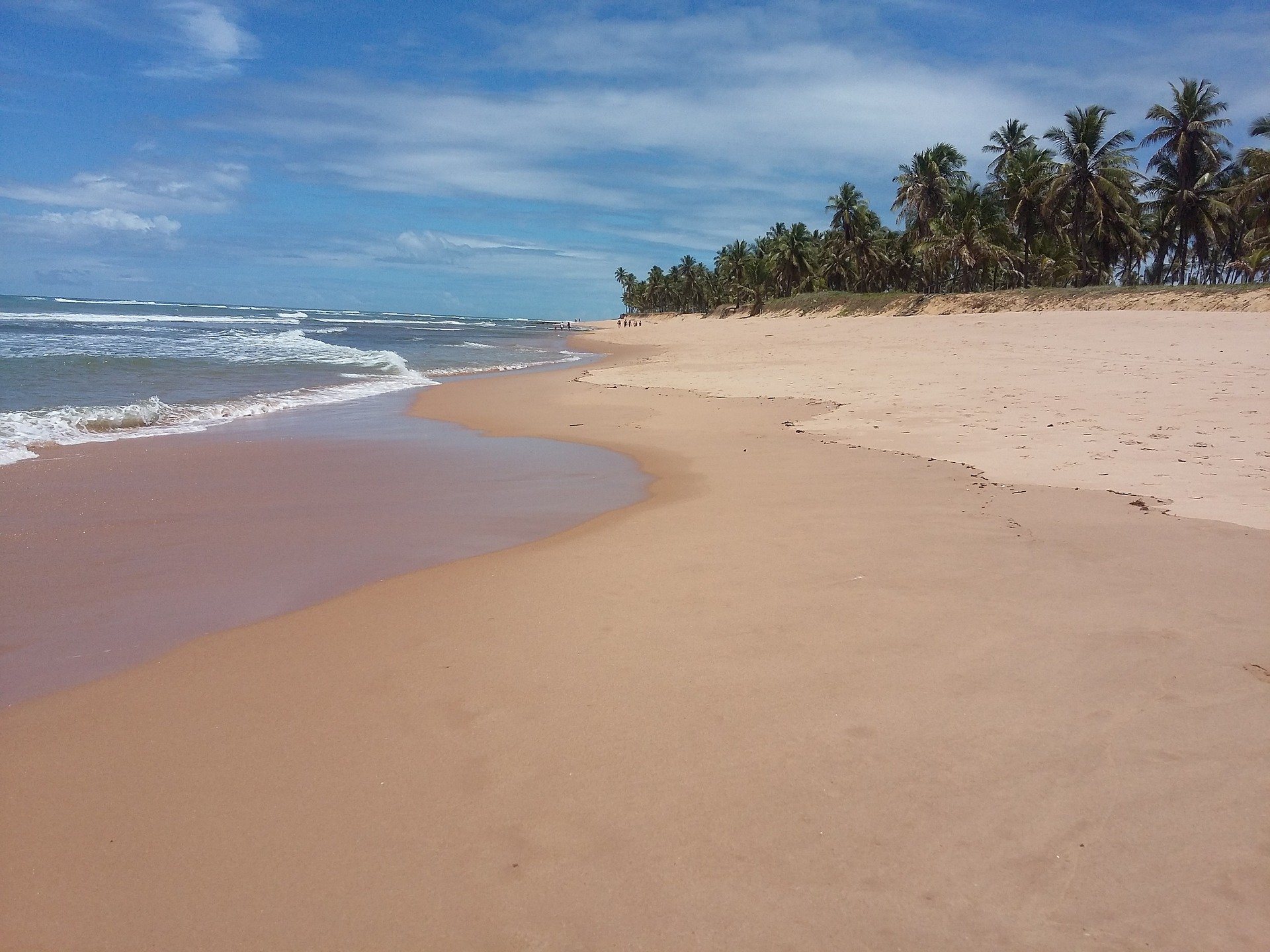 Praia do Forte cerca de Salvador de Bahía, viaje a Brasil