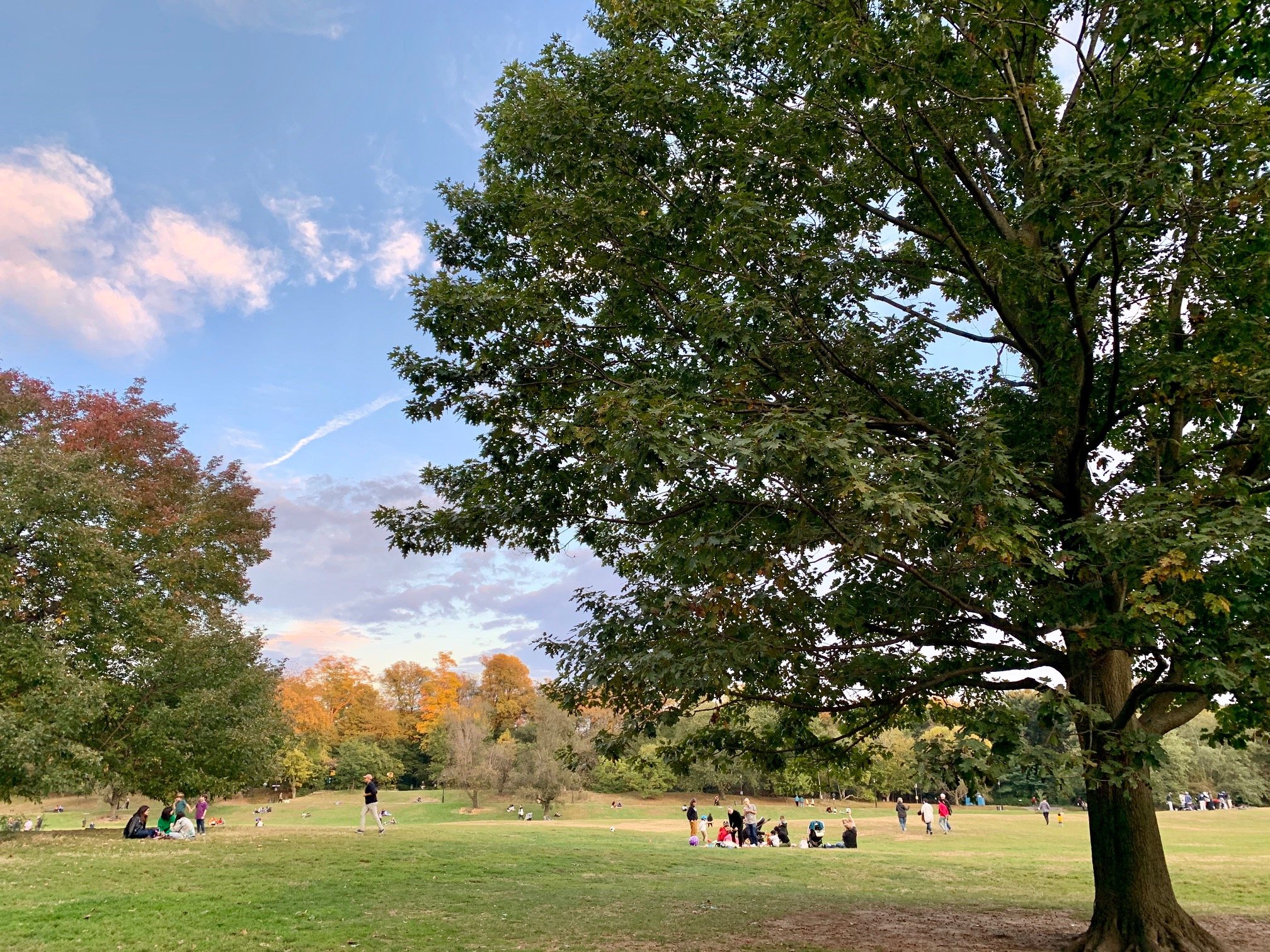 Prospect Park, Brooklyn, en cosas que hacer en Nueva York