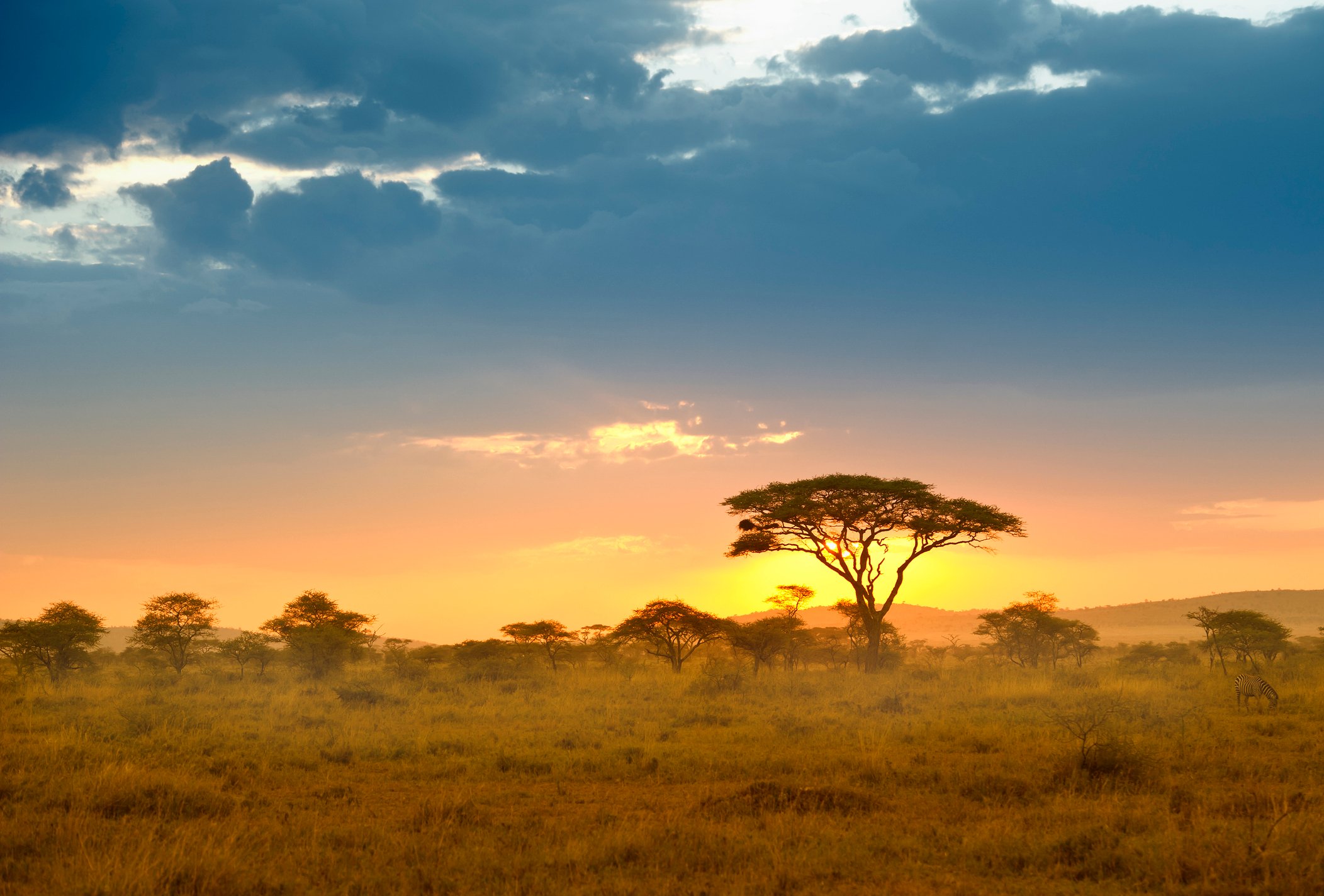 Puesta de sol en el Serengeti, Tanzania, África