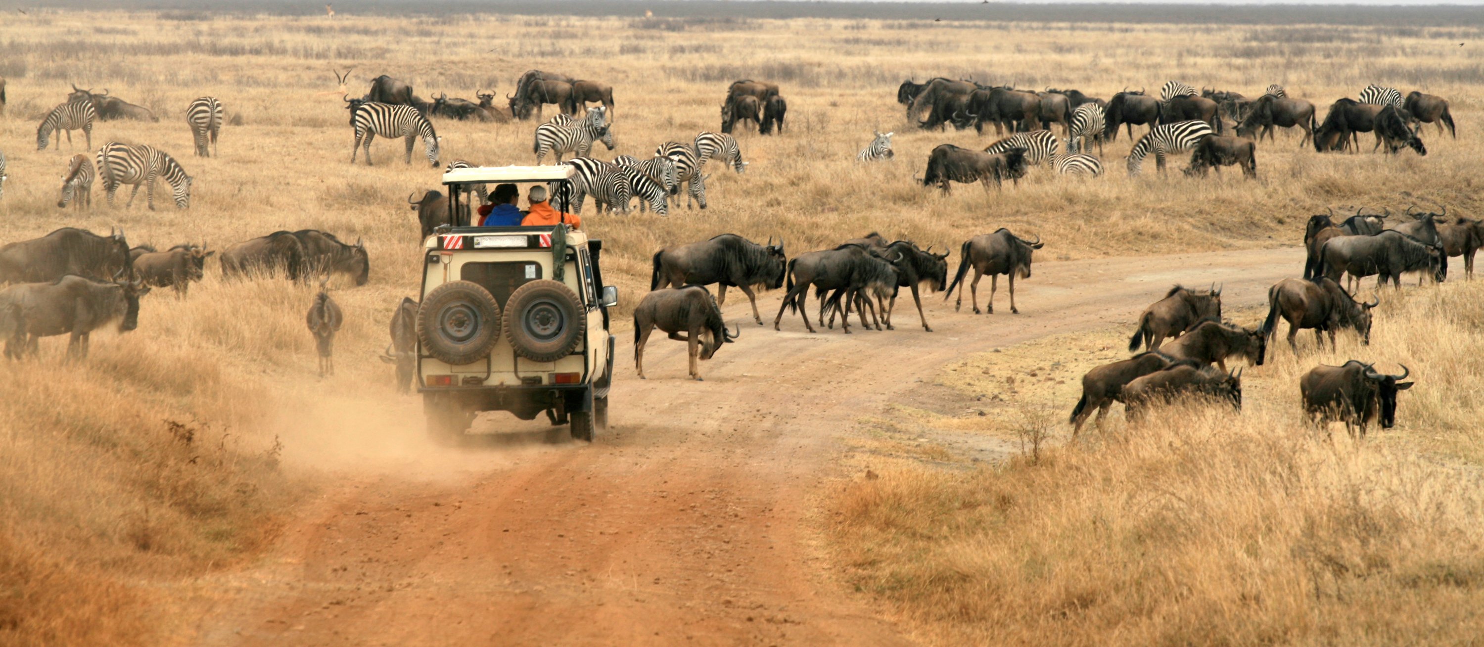 Safari en Ngorongoro, Tanzania, África