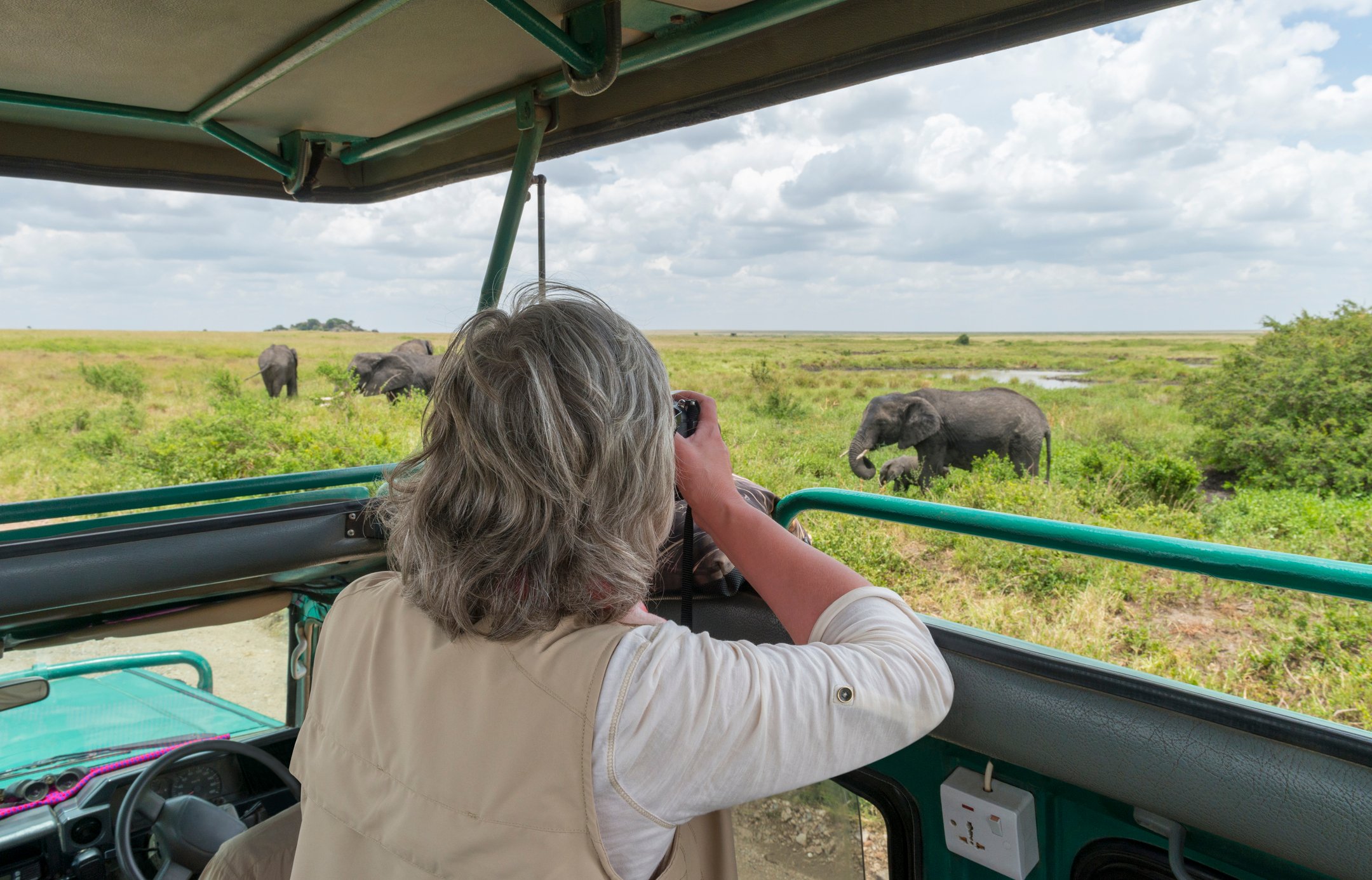 Safari en el Serengeti, Tanzania, África