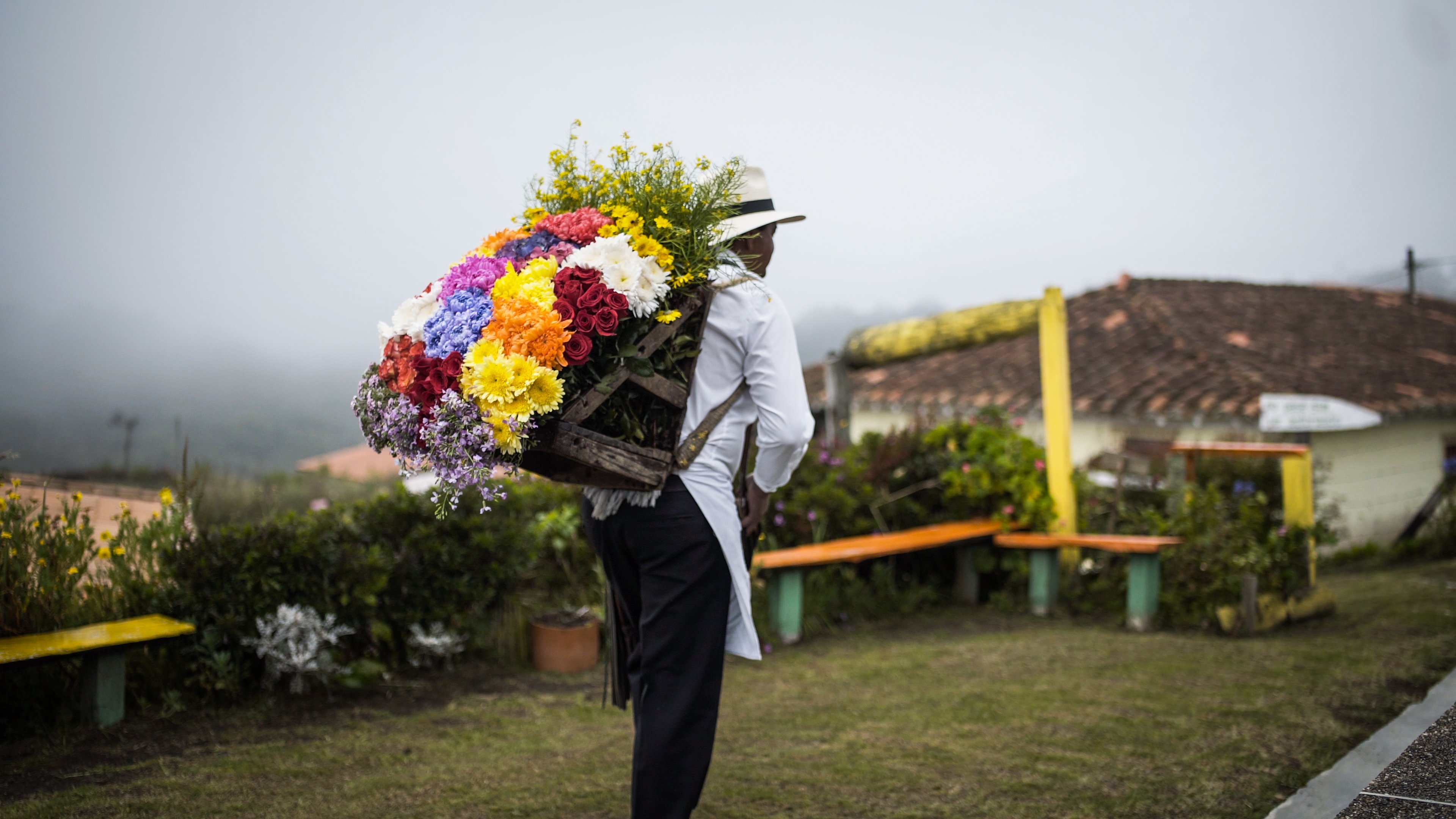 Silletero en qué hacer en Medellín, viaje a Colombia