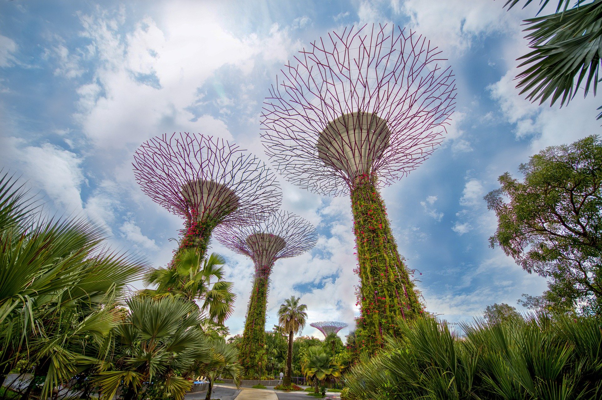 Supertrees de Gardens by the Bay en Singapur