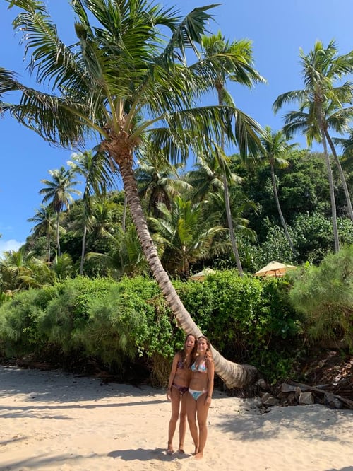 Vegetación en las playas de Pipa, Brasil