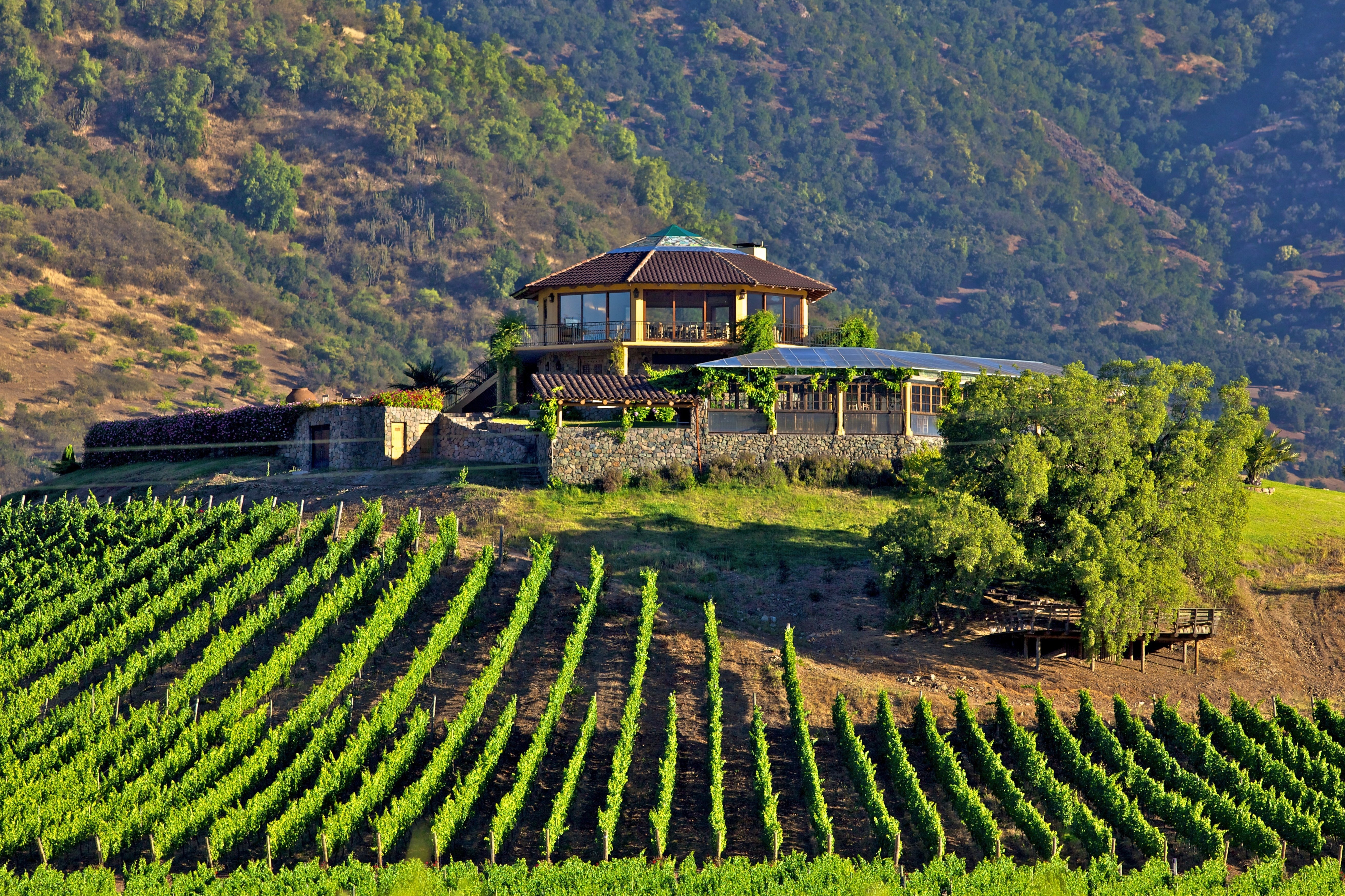 Viña Santa Cruz en valle de Colchagua