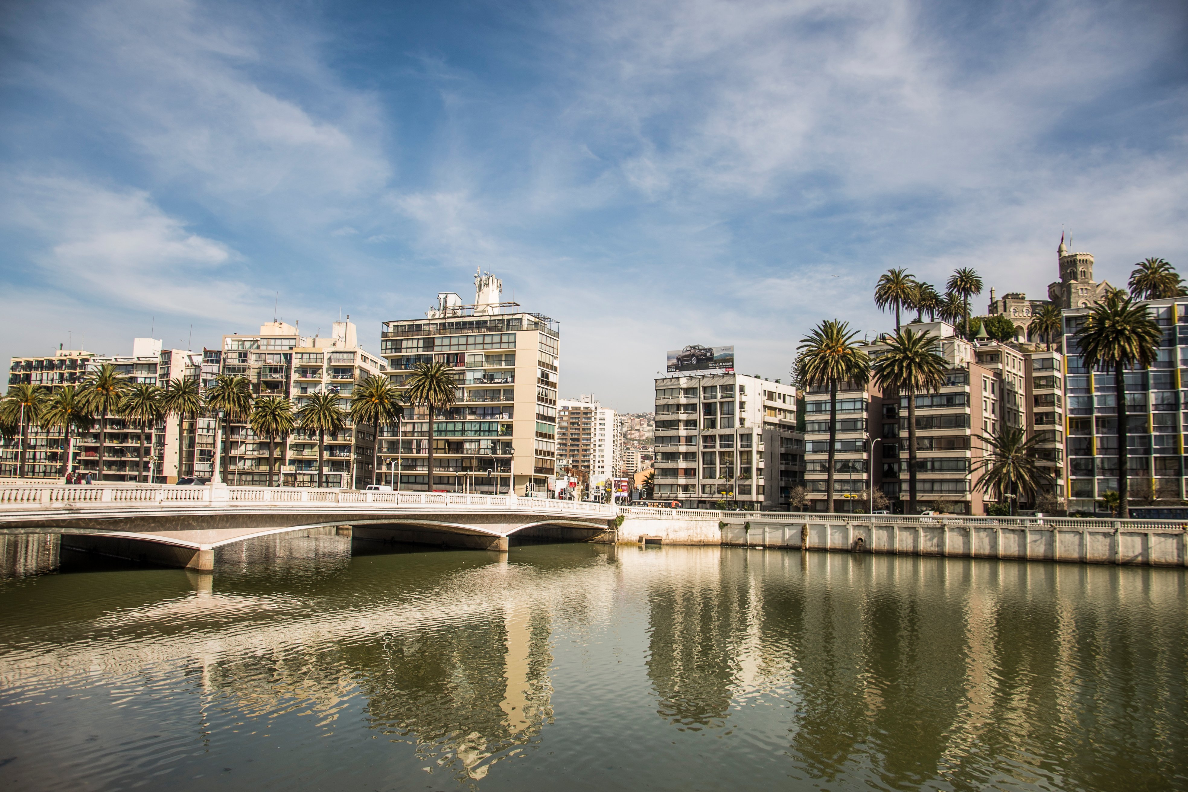 Puente y palmeras en Viña del Mar