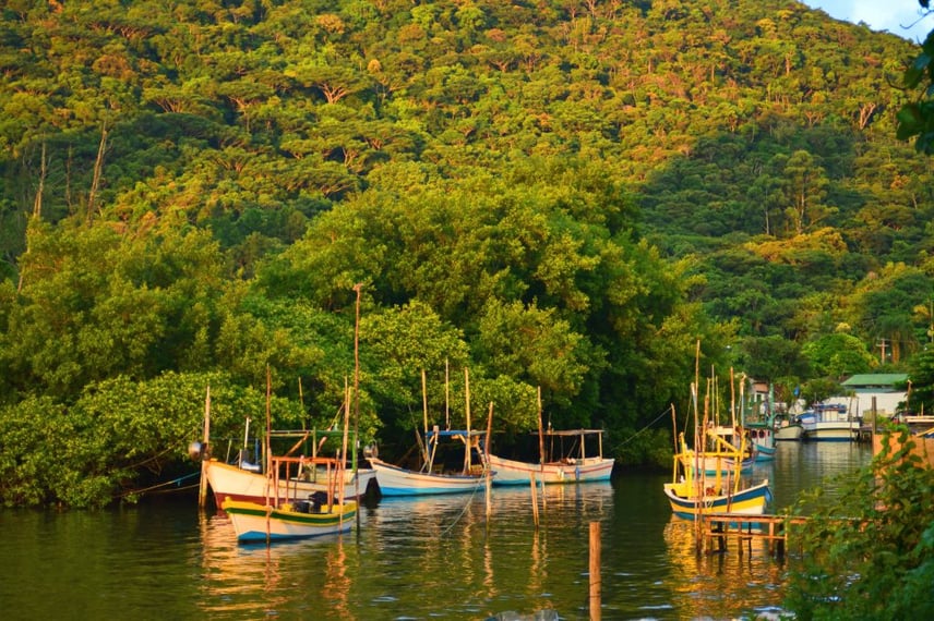 Camboriú-1024x683