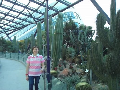 Visita a Gardens by the Bay en Singapur