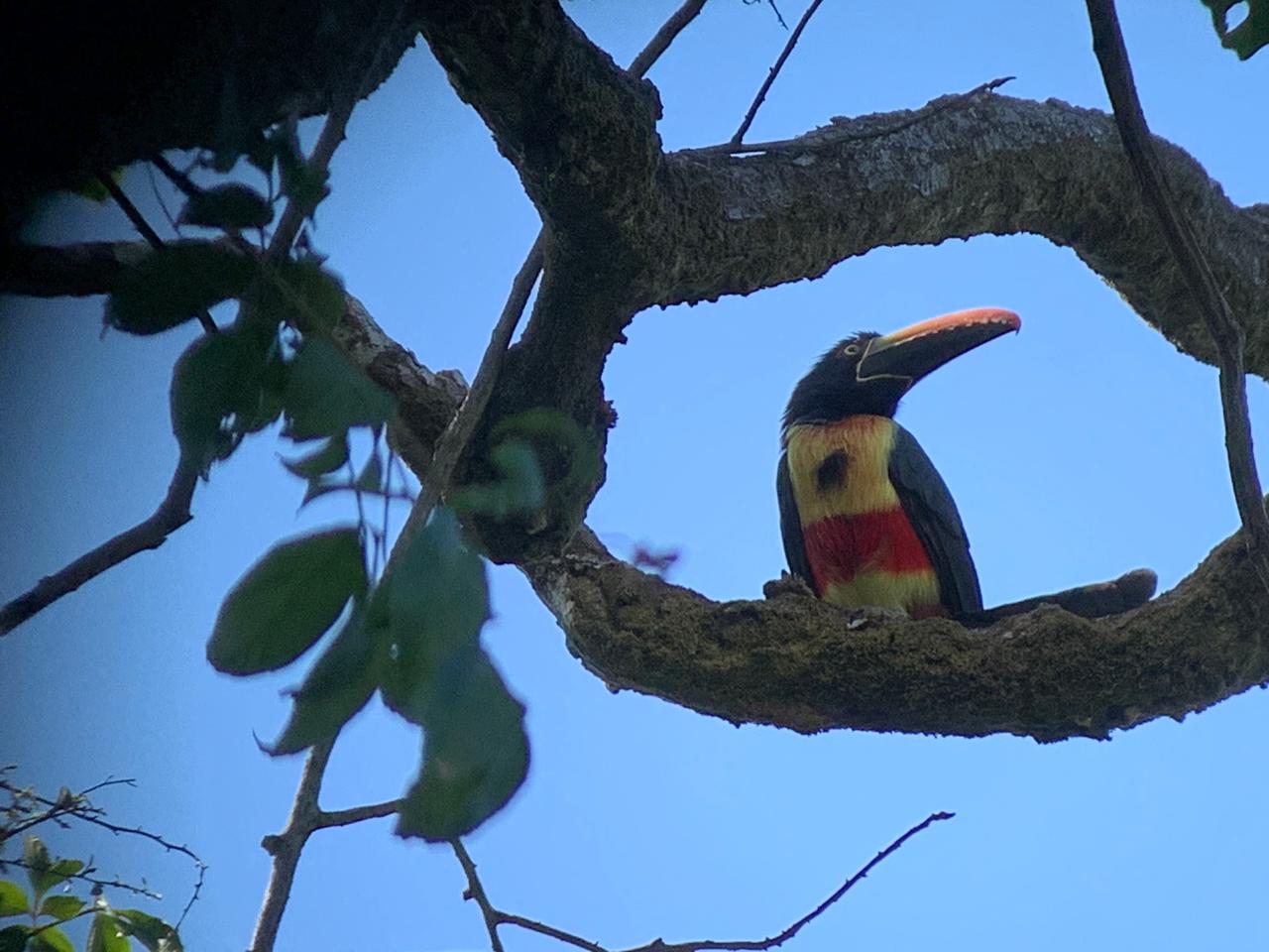 Parque Nacional Manuel Antonio
