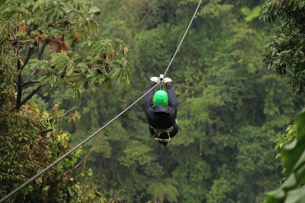 Canopy en volcán Arenal