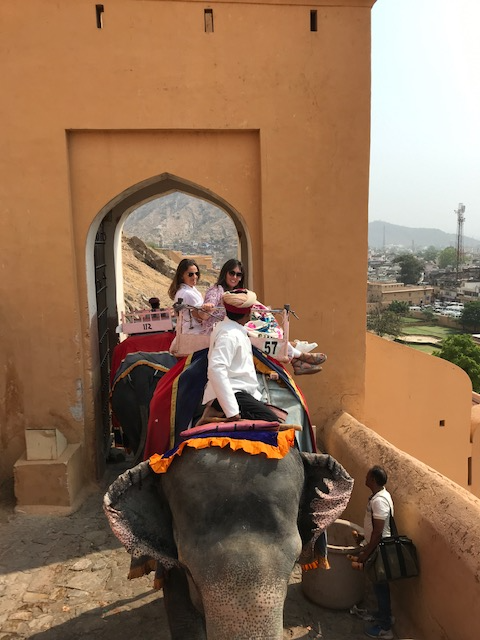 amber fort